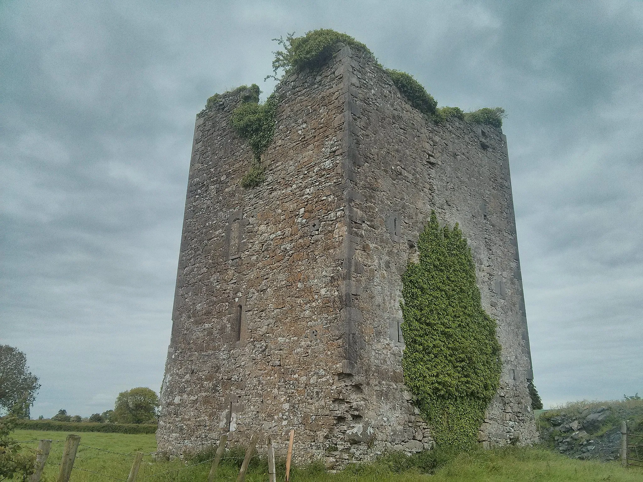 Photo showing: Coole Castle Ferbane Offaly
