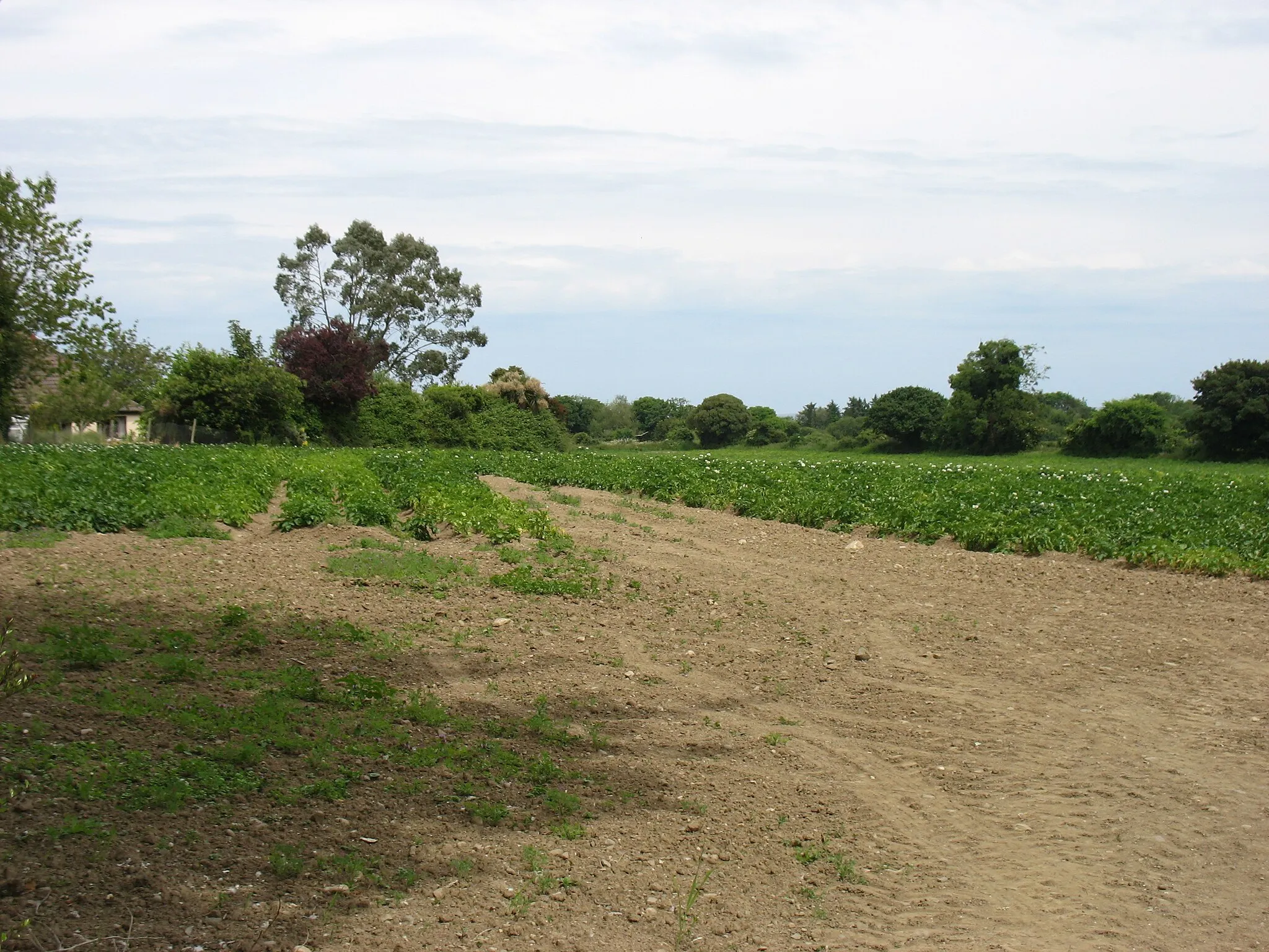 Photo showing: Farmland east of Kilcoole