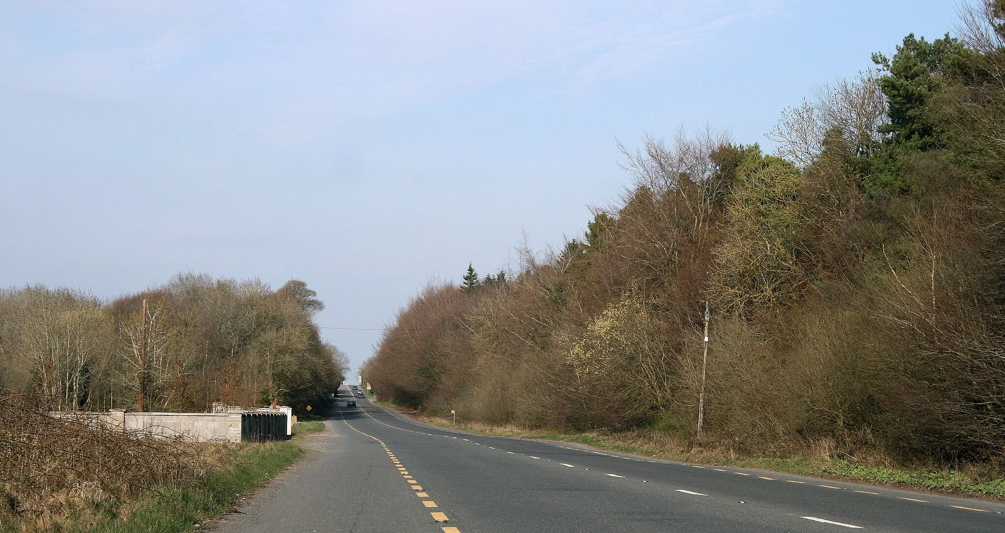 Photo showing: Near Ballybrittas, County Laois