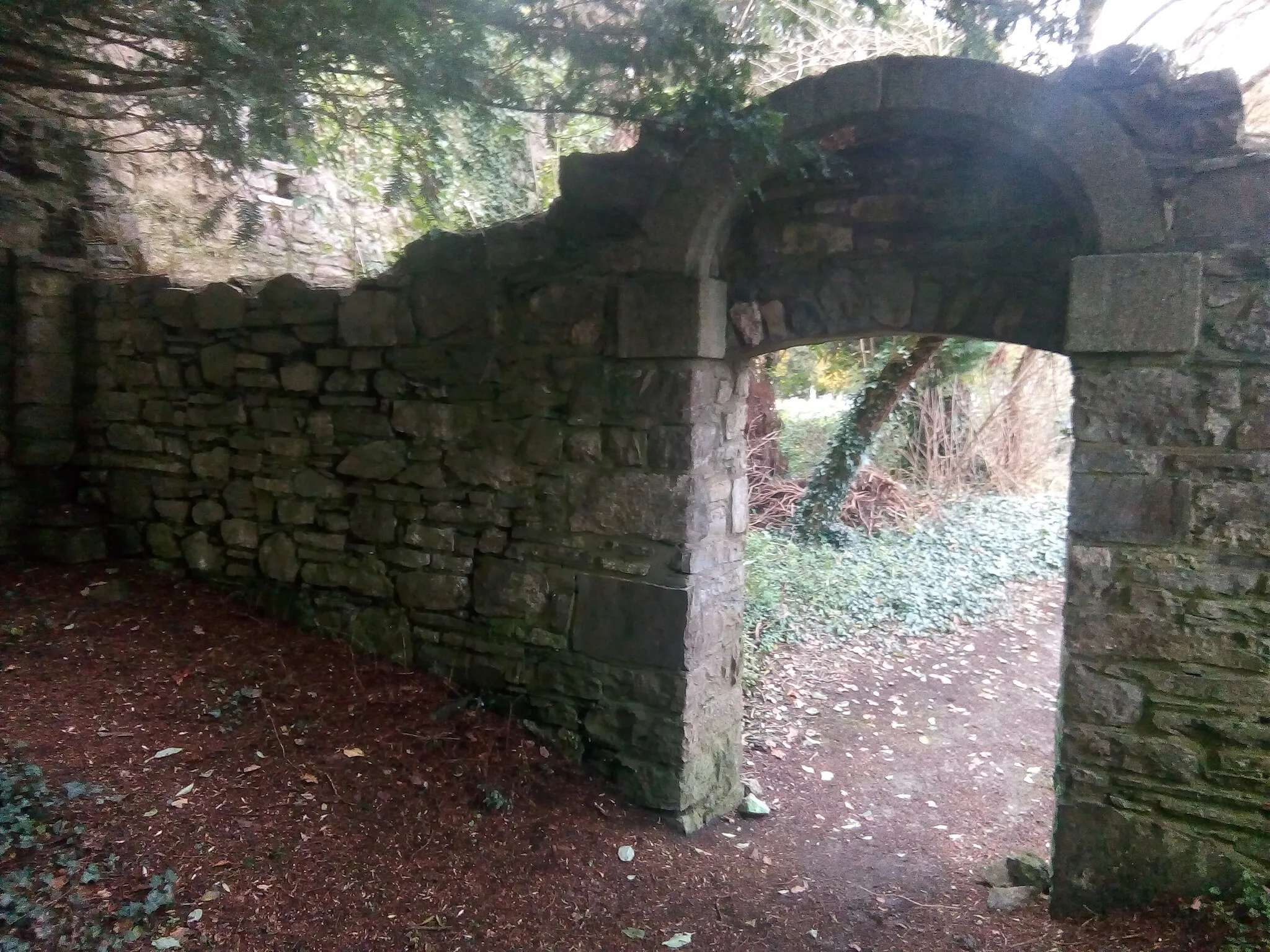 Photo showing: St Patricks Staffan arched doorway