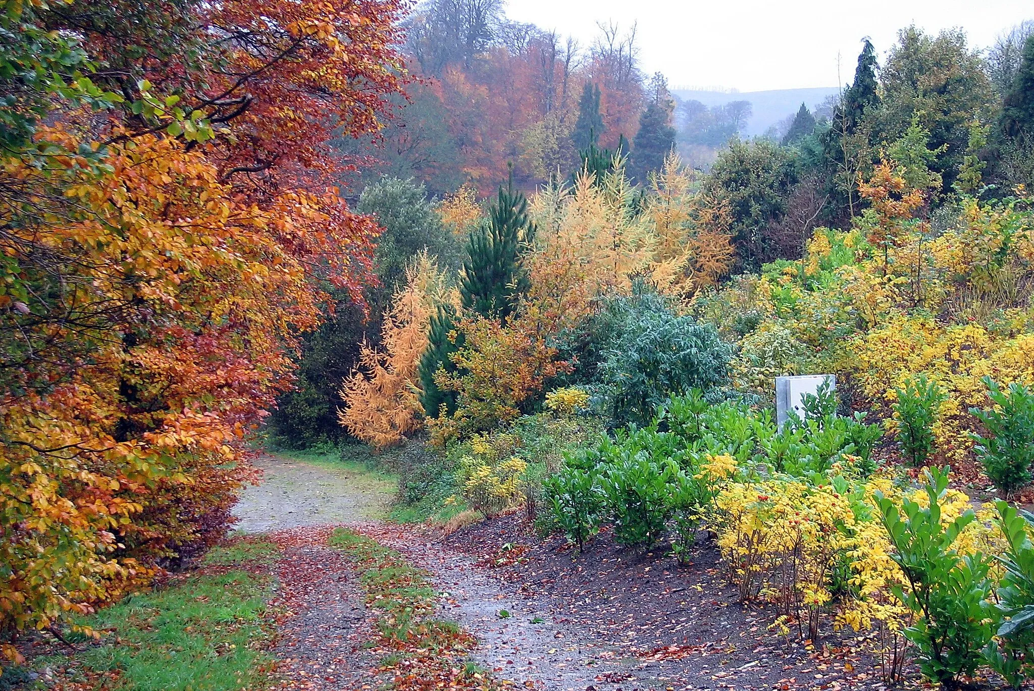 Photo showing: Autumn in Newtownmountkennedy, County Wicklow