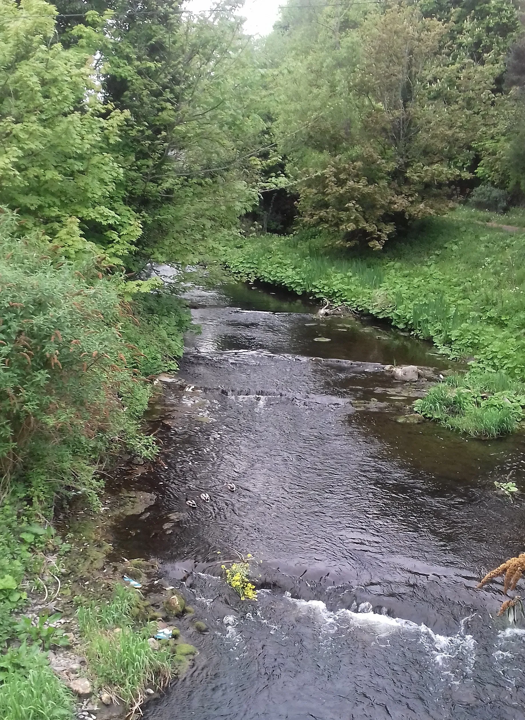 Photo showing: Looking west over the River Tolka. Taken from the bridge on the Mill Road by the side entrance to Connolly Hospital. The woods of Waterville Park visible on the right. Part of Deanstown townland. Taken during the COVID-19 pandemic.