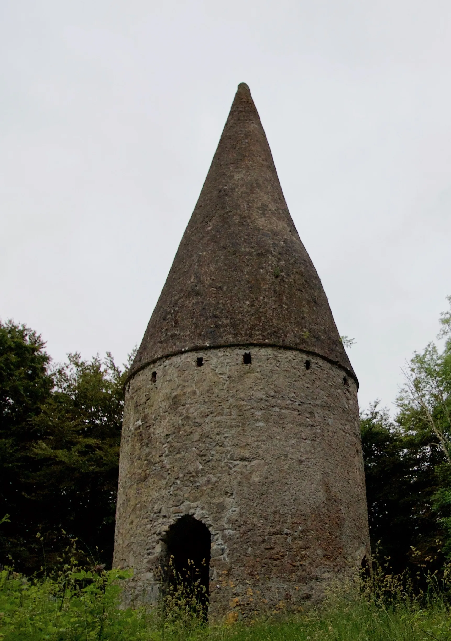 Photo showing: County Laois, The Spire.