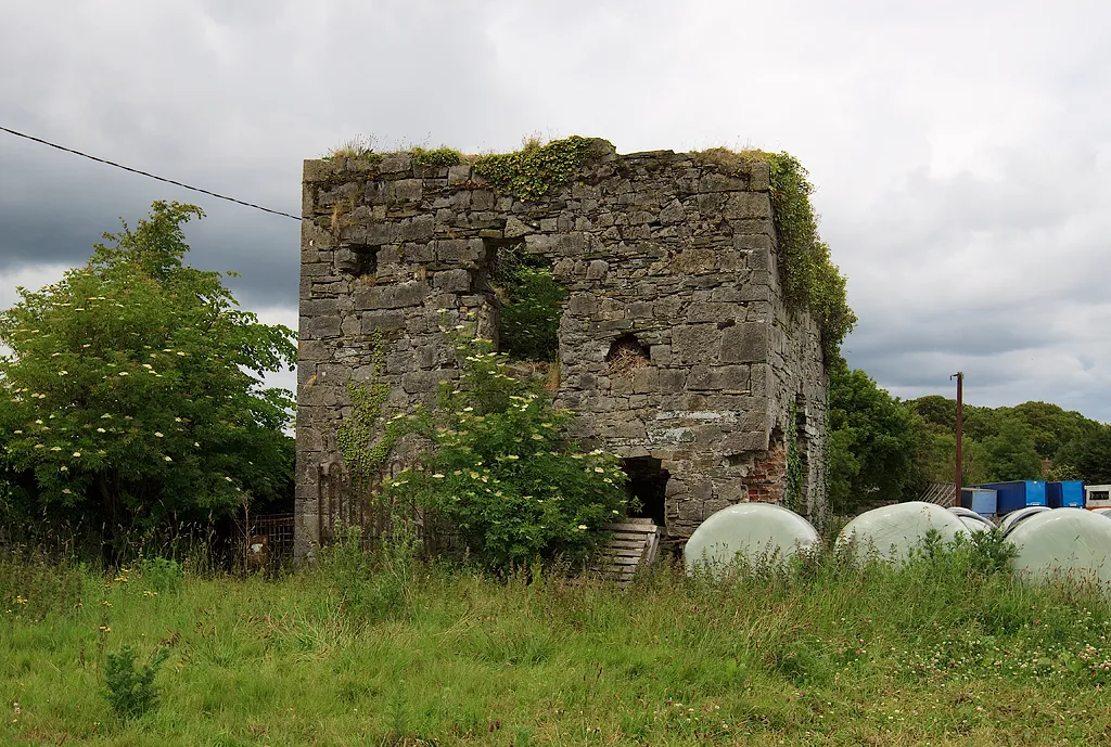 Photo showing: Castles of Leinster: Newcastle, Co. Dublin