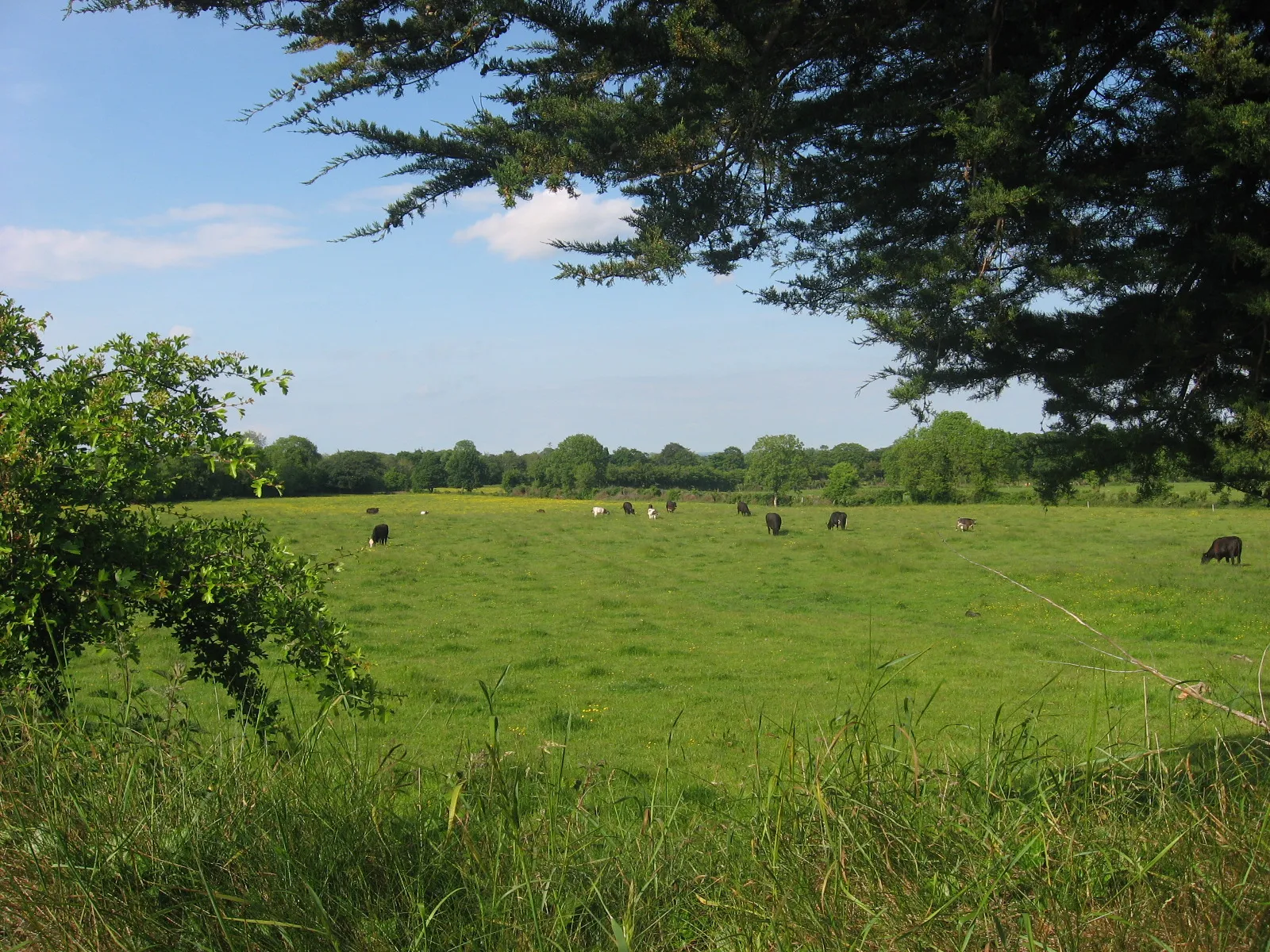 Photo showing: Countryside at Rathcarran, Co. Meath