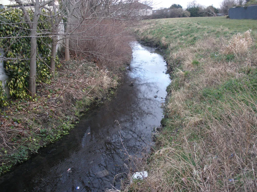 Photo showing: View of the River Poddle, Dublin, just a few metres downstream of Templeville Road, the river having crossed under the road behind the camera.
The river is flowing away from the camera, to the northeast. It bends to the left in the foreground and to the right in the background. Houses at the south end of Whitehall Park are visible in the centre background.
This location is near the meeting of four townlands. The camera is in Templeogue, divided by the river from Whitehall in the left foreground. Whitehall meets Perrystown only a few metres downstream, on the opposite (north) river bank. Templeogue meets Kimmage on the near (south) river bank, in the far background, where the river has turned right.

See also River-Poddle-2010-02-19b.jpg and River-Poddle-2010-02-19c.jpg.