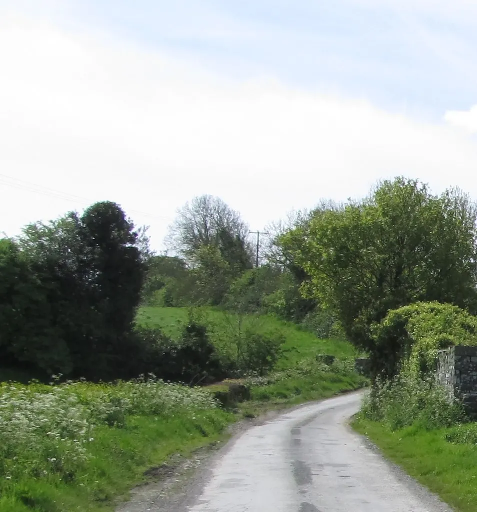 Photo showing: Bend in the Lurgana Road