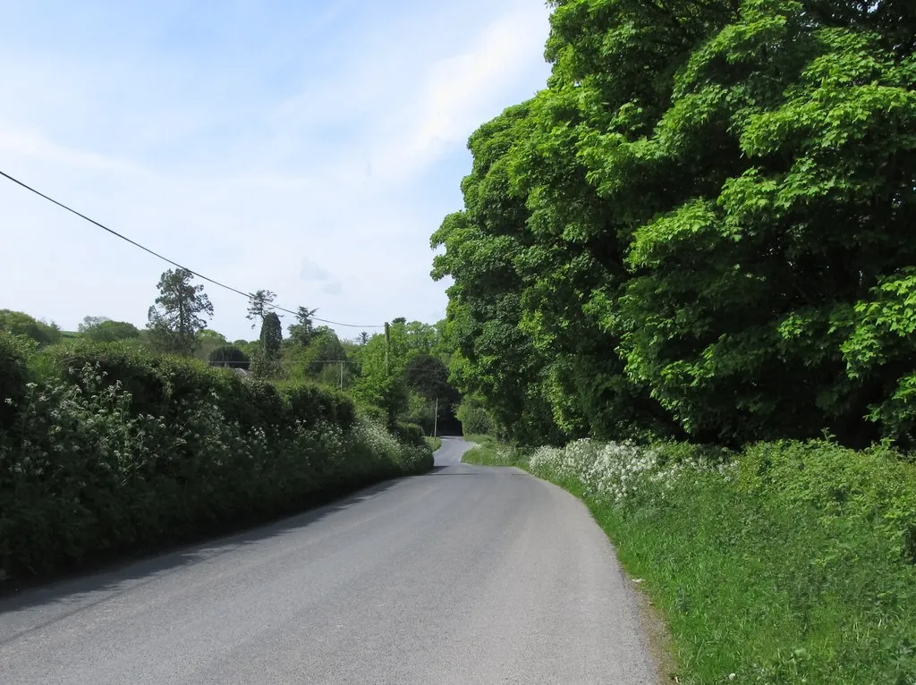 Photo showing: Ballymoyer Road approaching the junction with  Lurgana Road