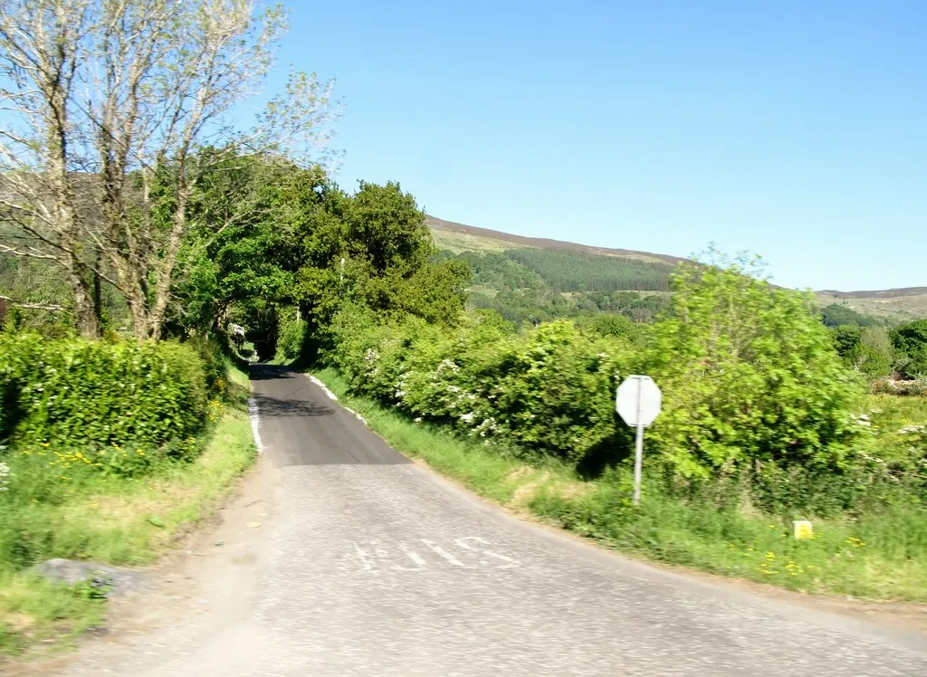 Photo showing: The lower end of Ballintemple Road at Killeavy