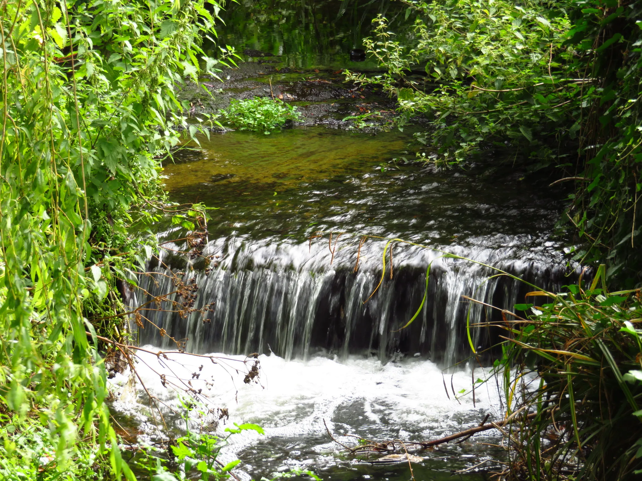 Photo showing: The River Poddle at Poddle Park in Kimmage, Dublin.