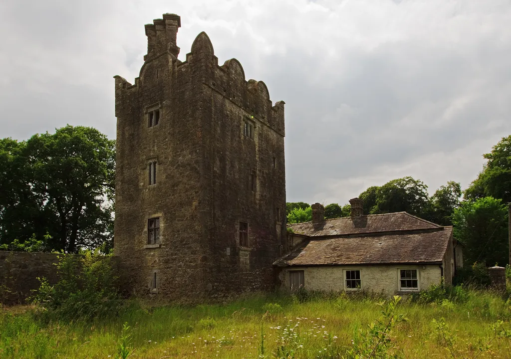 Photo showing: Castles of Leinster: Grange, Kildare (1)