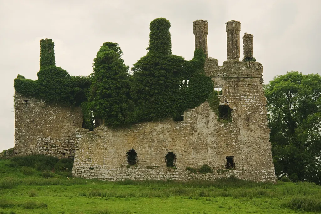 Photo showing: Castles of Leinster: Carbury, Kildare (2)
