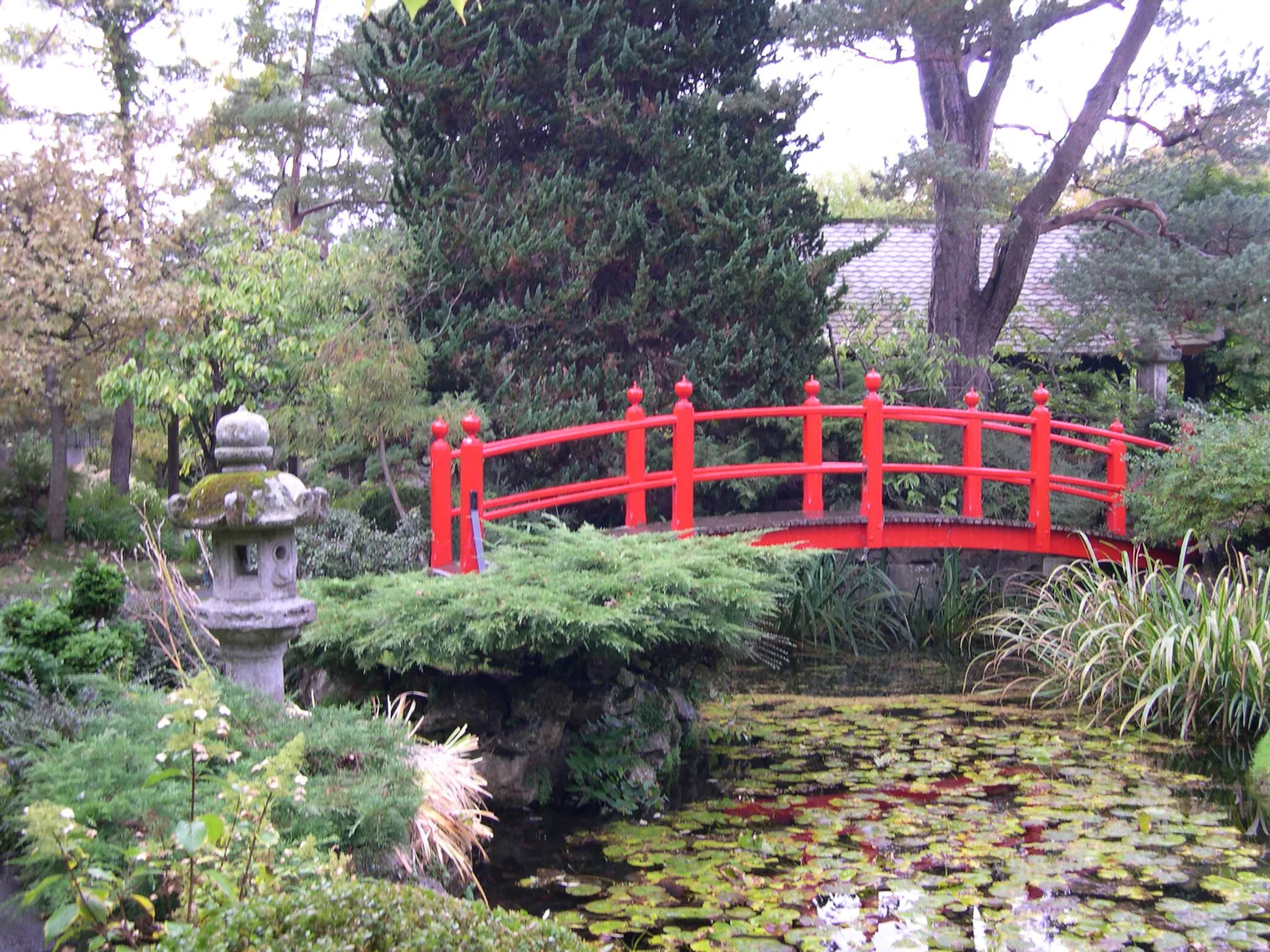 Photo showing: The bridge in the Japanese gardens, Kildare town.
Credit: A Peter Clarke image