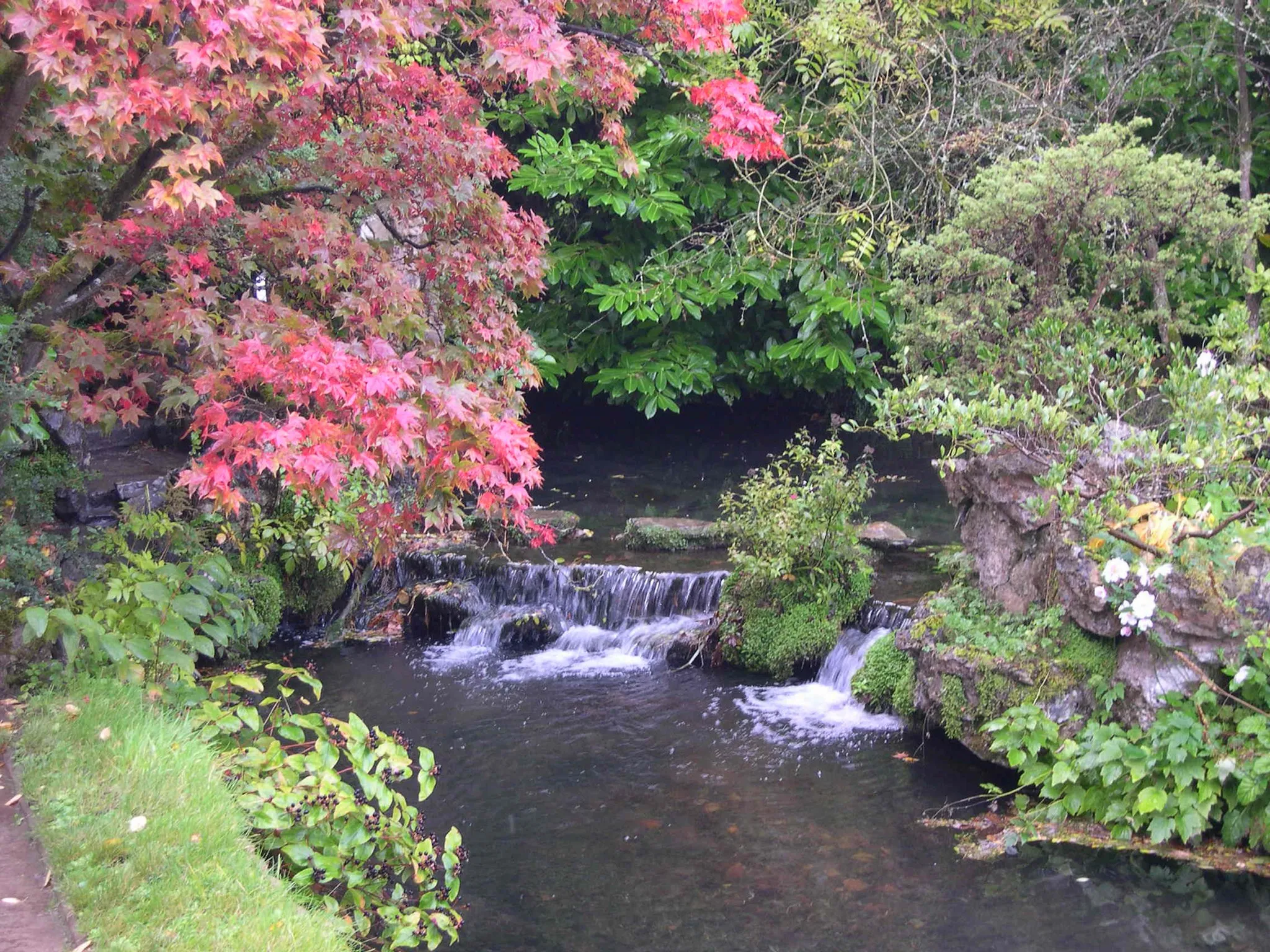 Photo showing: Waterfall, Japanese Garden, Tully, County Kildare, Republic of Ireland
