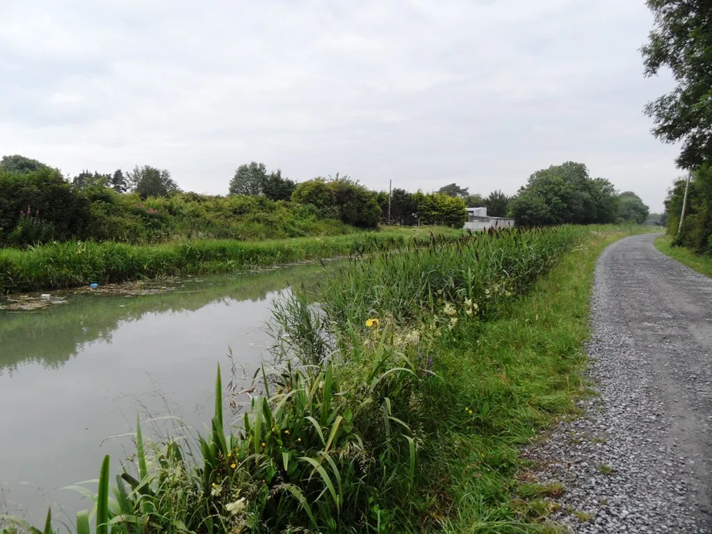 Photo showing: Grand Canal in Ticknevin, Co. Kildare