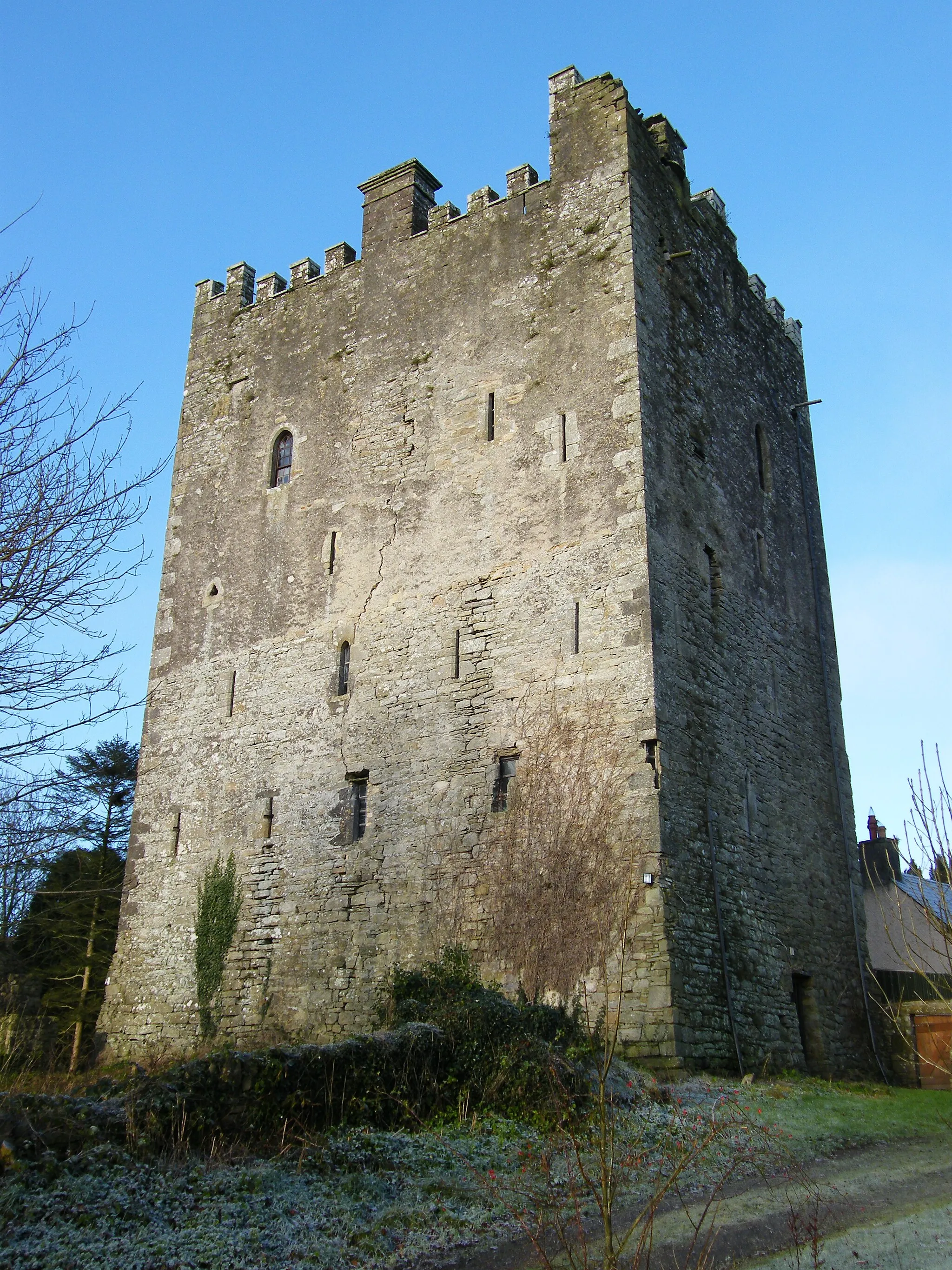 Photo showing: Ballaghmore Castle in County Laois