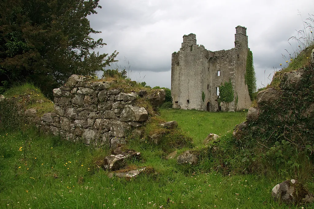Photo showing: Castles of Leinster: Cloncourse, Laois (3)