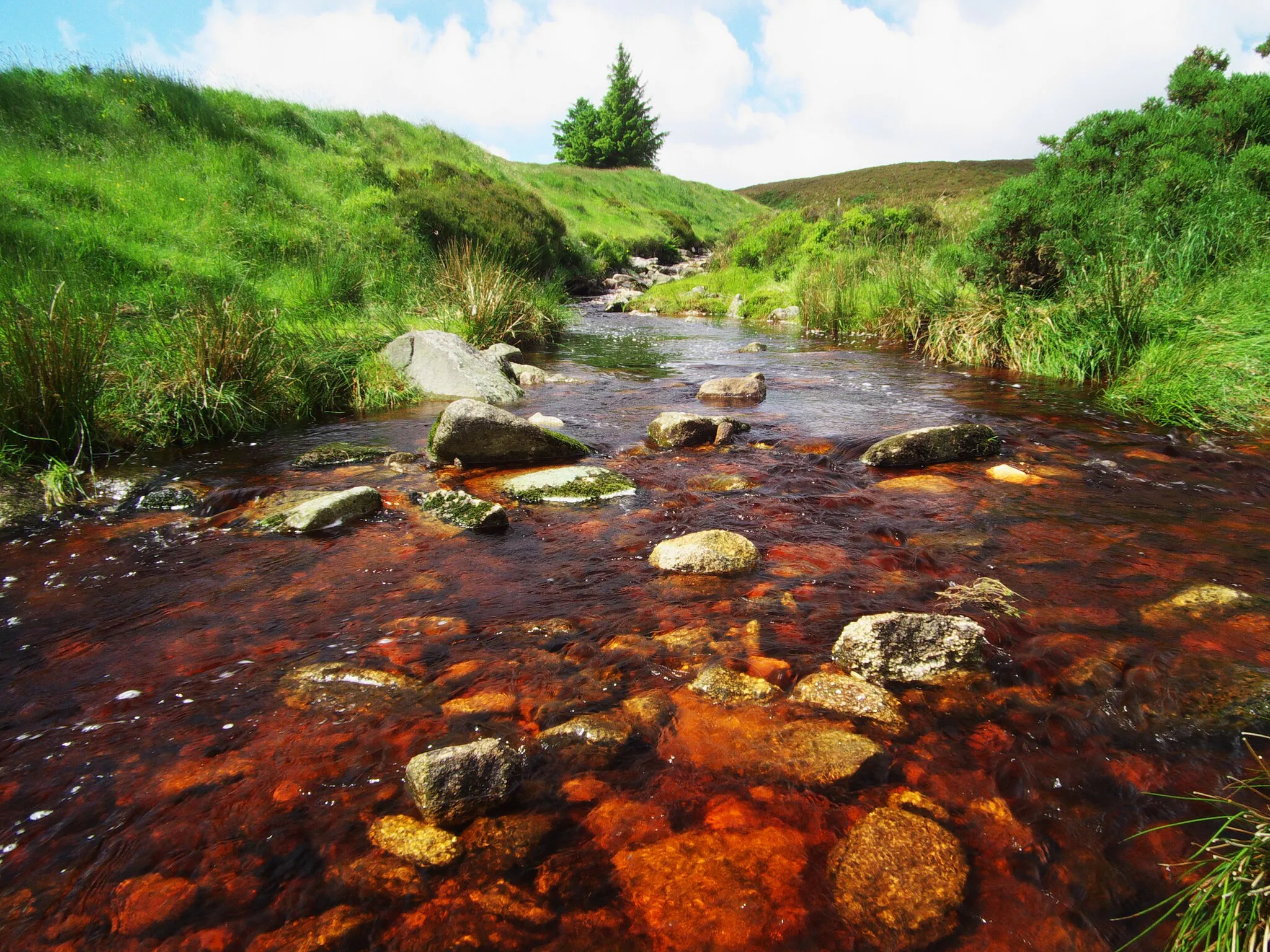 Photo showing: stream at killakee, close to cruagh wood