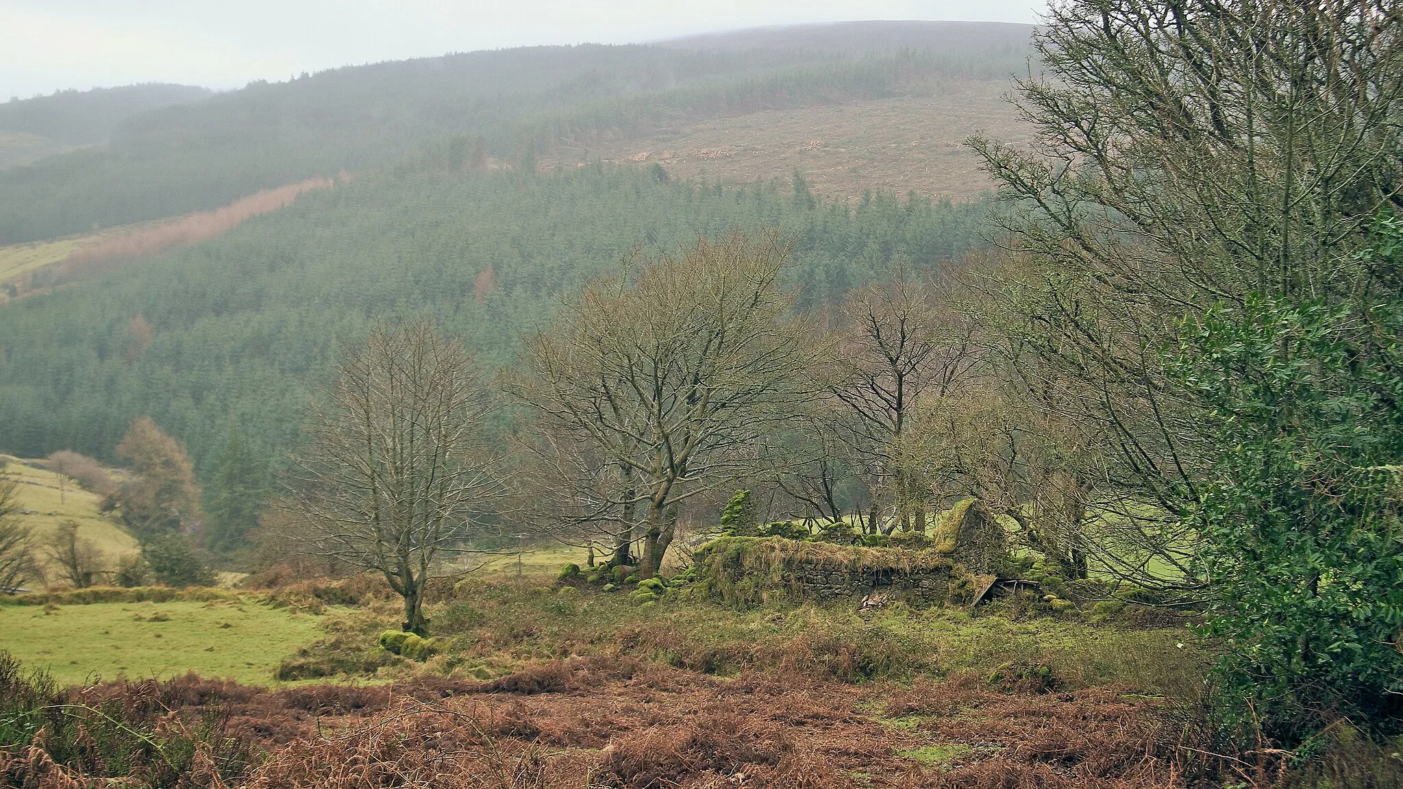 Photo showing: Ruined stone building near Glendoo in Souh Dublin. Built around 1800 and is visible on 1843 OS Map.