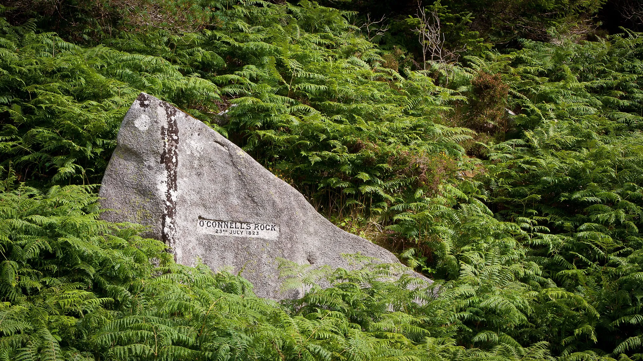 Photo showing: Daniel O'Connell addressed a monster meeting from this rock on the slopes of Tibradden Mountain, County Dublin, Ireland on 23 July 1823