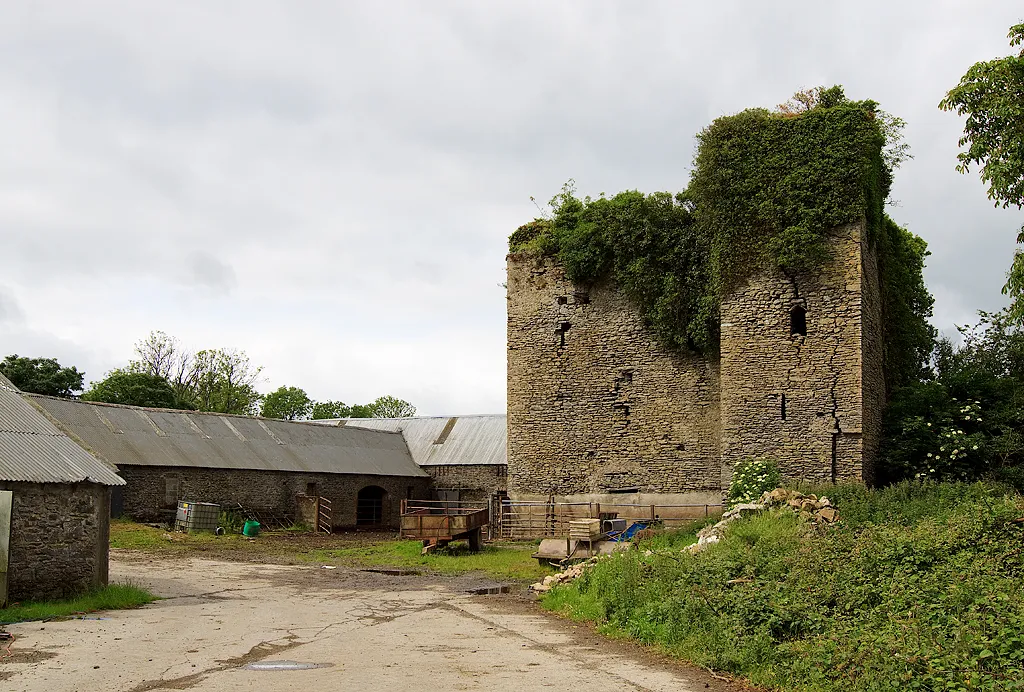 Photo showing: Castles of Leinster: Clonreher, Laois