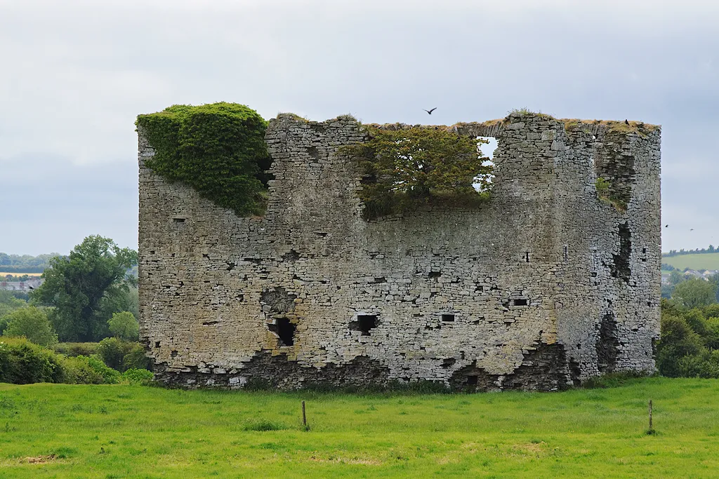 Photo showing: Castles of Leinster: Kilbreedy, Laois