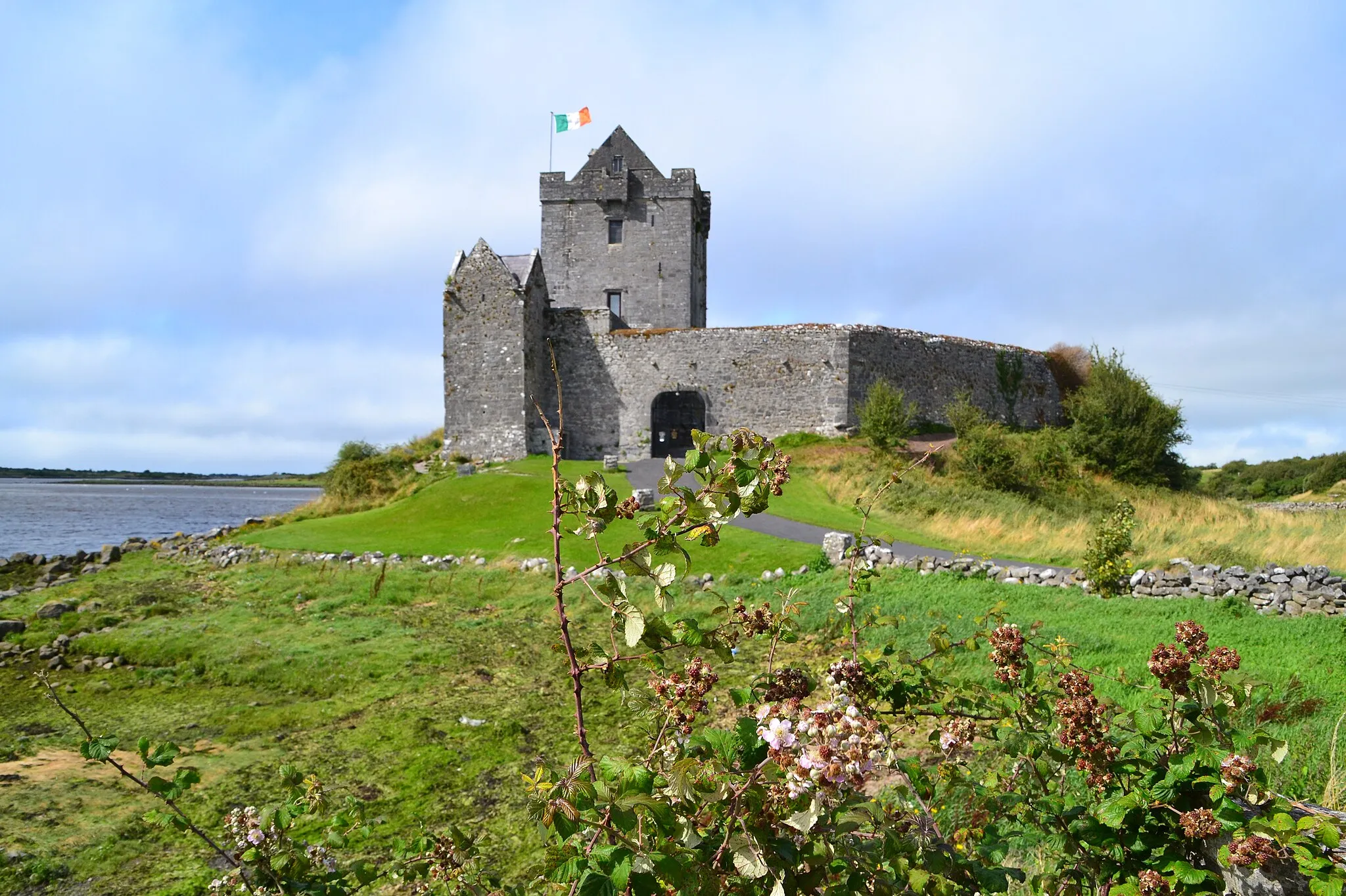 Photo showing: Dunguaire Castle flowers and green fields.