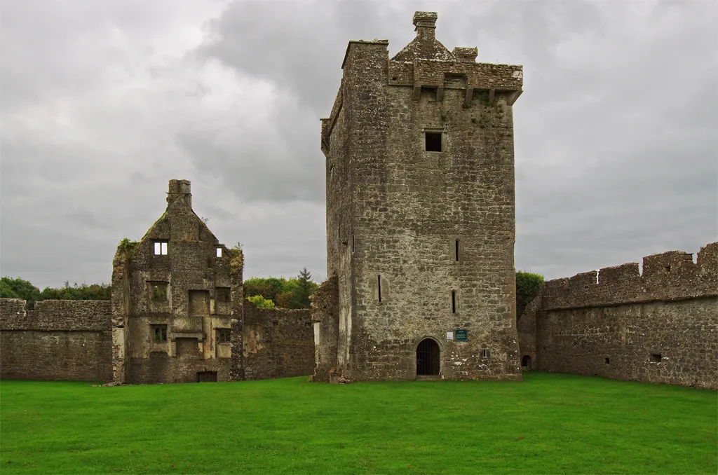 Photo showing: Castles of Connacht: Pallas, Galway. This fine early C16 tower now under the care of the state was built by the Burkes and later held by the Nugents. Standing next to the tower are the remnants of a later house near a corner of the well preserved bawn wall.