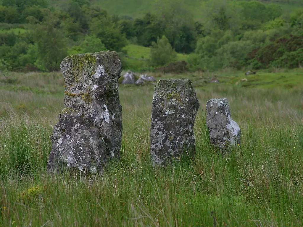 Photo showing: Drumskinny standing stones in Ireland.