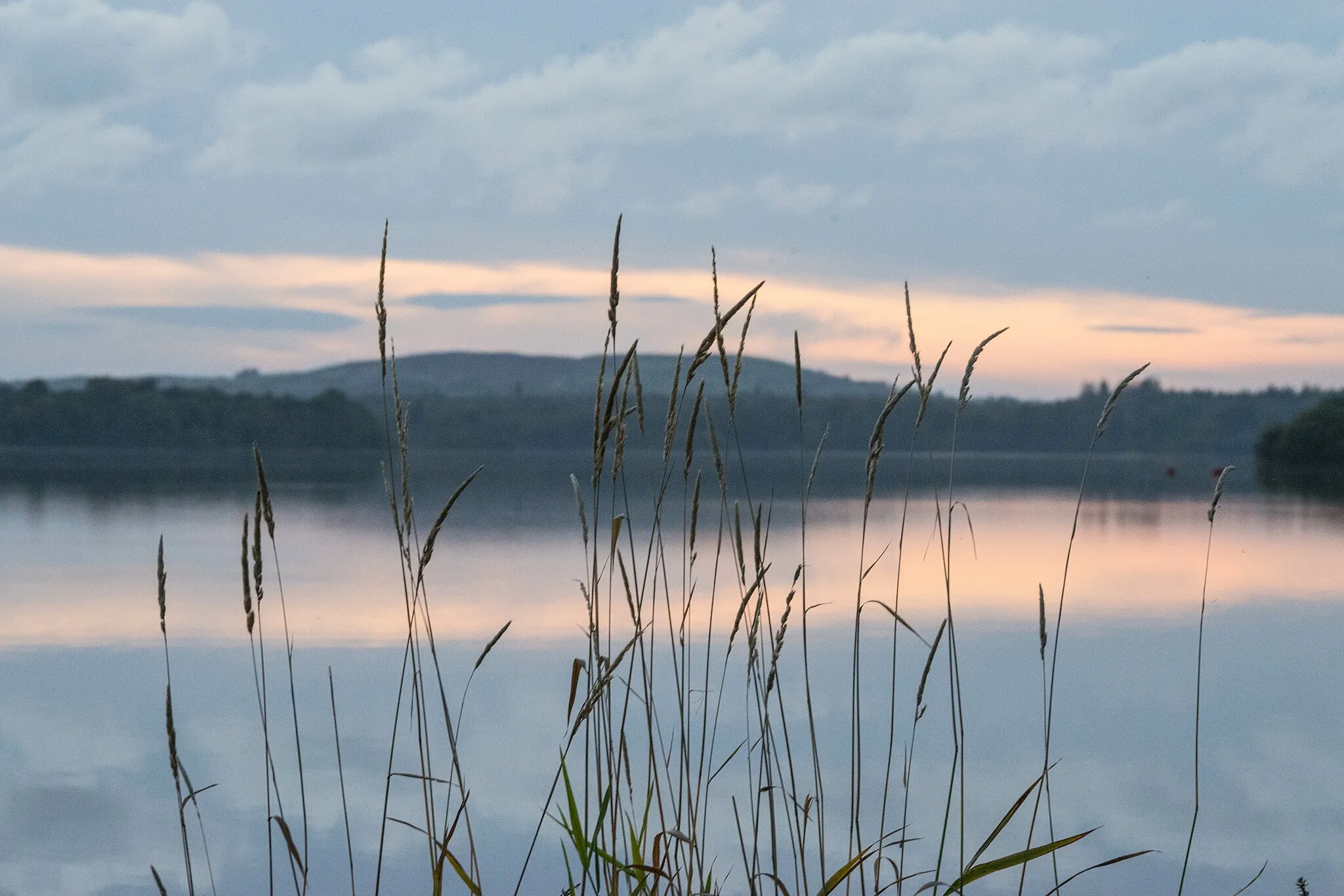 Photo showing: Lough Ramor, près de Virginia (Comté de Cavan, Irlande).