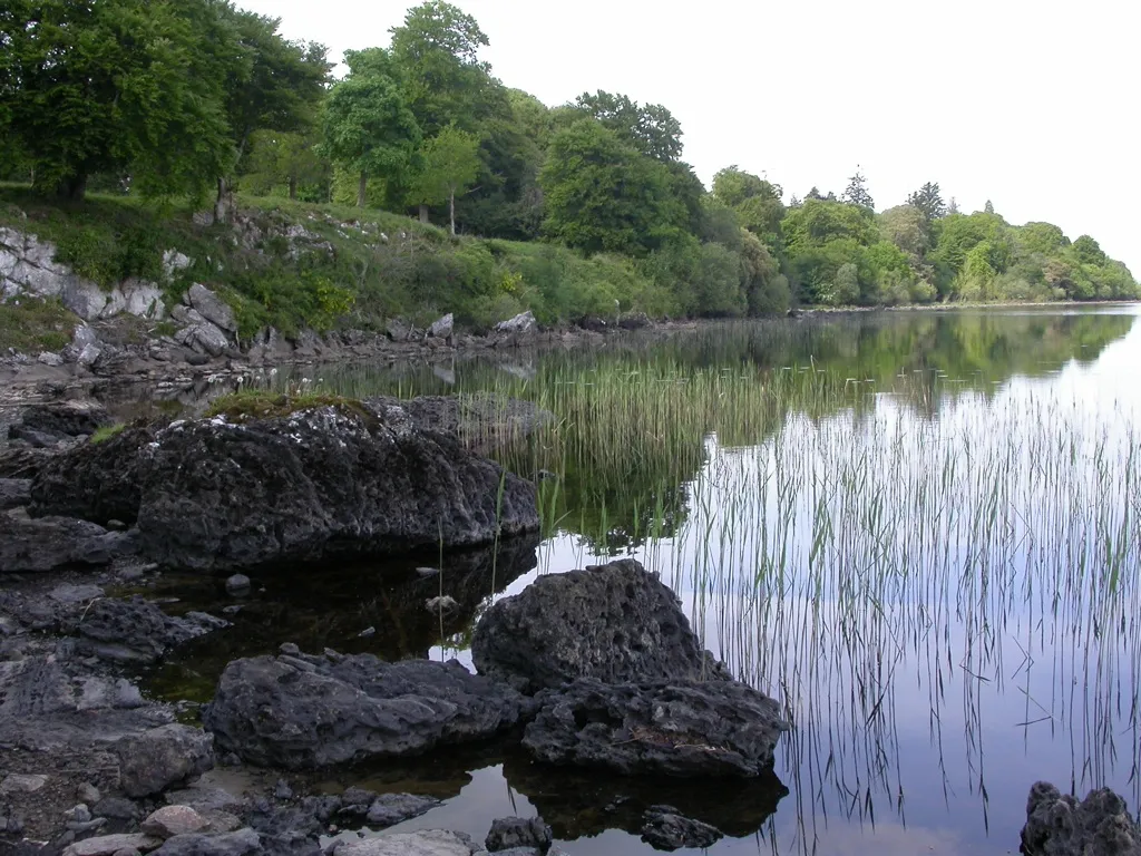 Photo showing: Limestone crags on Lough Cutra's south-west shore