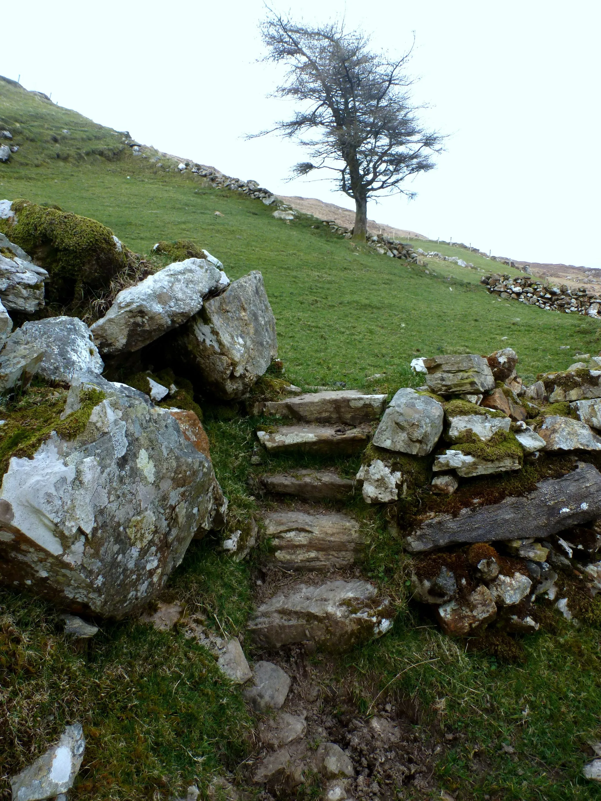 Photo showing: Steps to Nacroaghy field