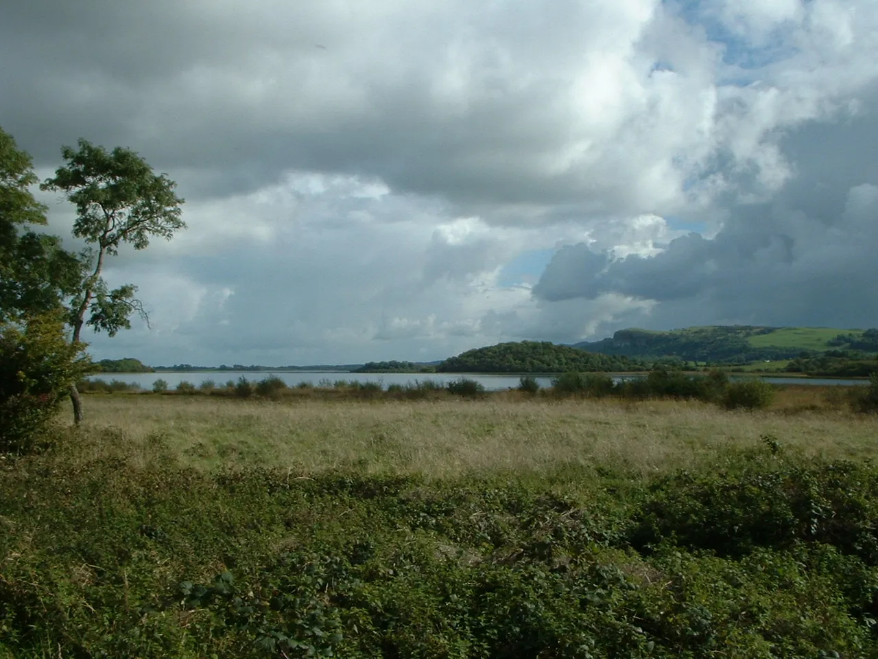 Photo showing: Western shore of en:Lower Lough MacNean, en:County Fermanagh, en:Northern Ireland. Picture taken by Andrew Humphreys, September 30, 2006.