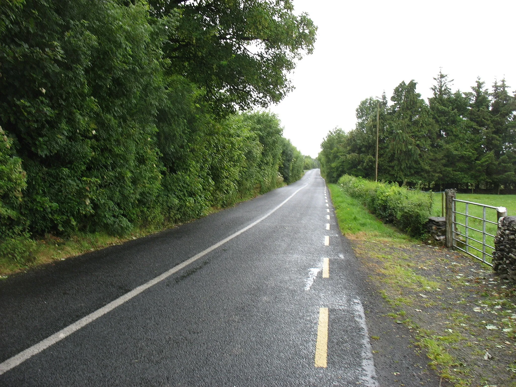 Photo showing: The R328 nearing Garrafrauns