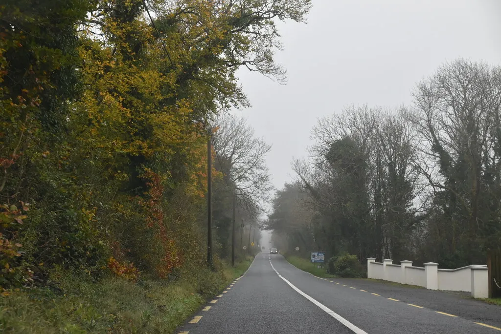 Photo showing: R370 road near Ballinameen County Roscommon