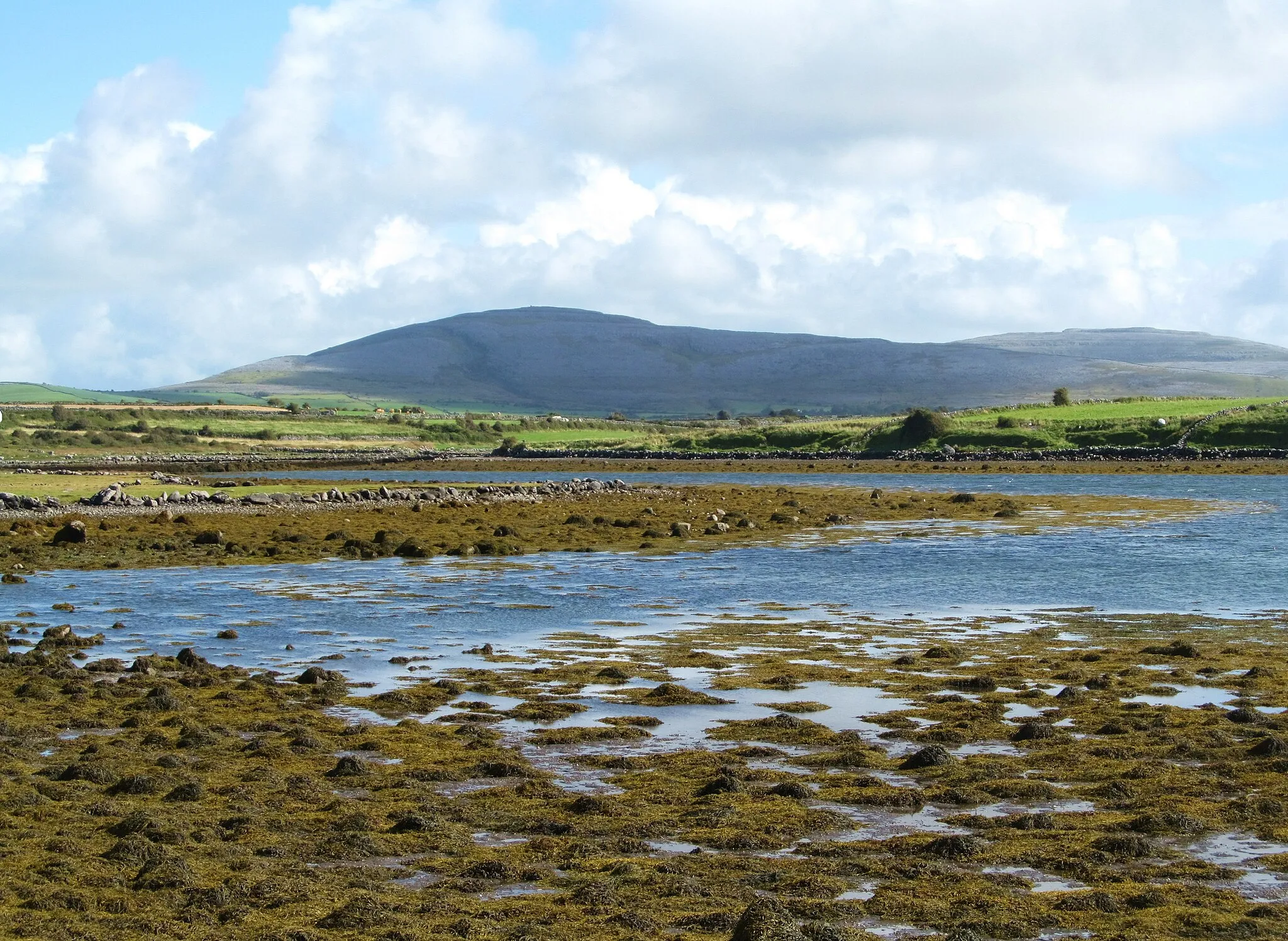 Photo showing: Low tide at a quiet inlet