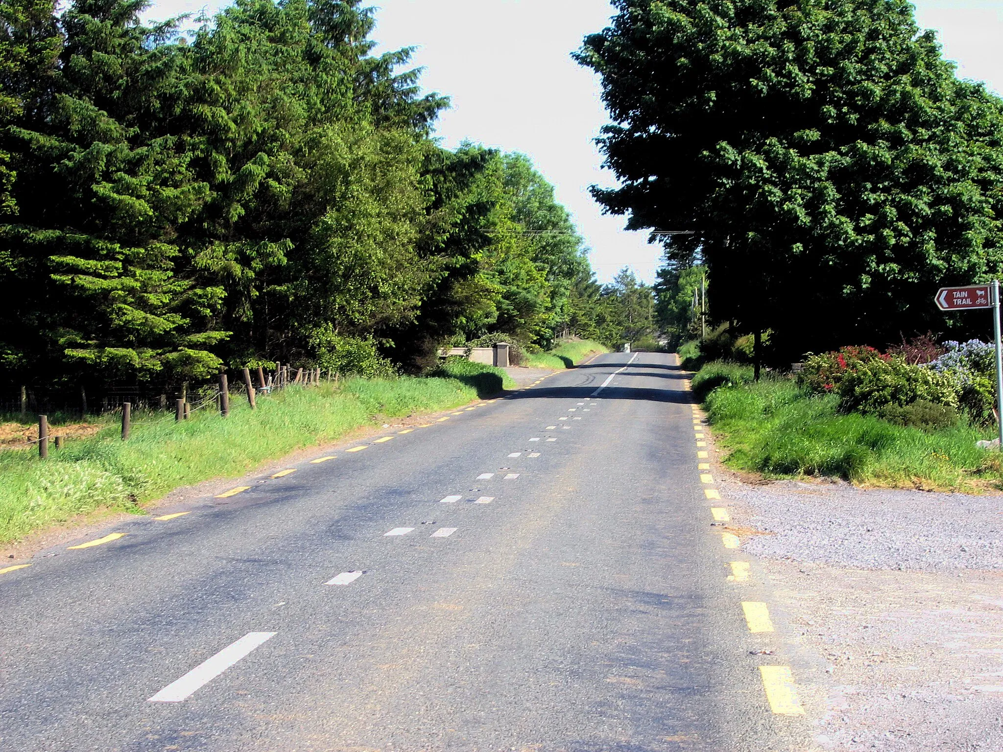 Photo showing: N5 road in Co Roscommon west of Tulsk, looking east.