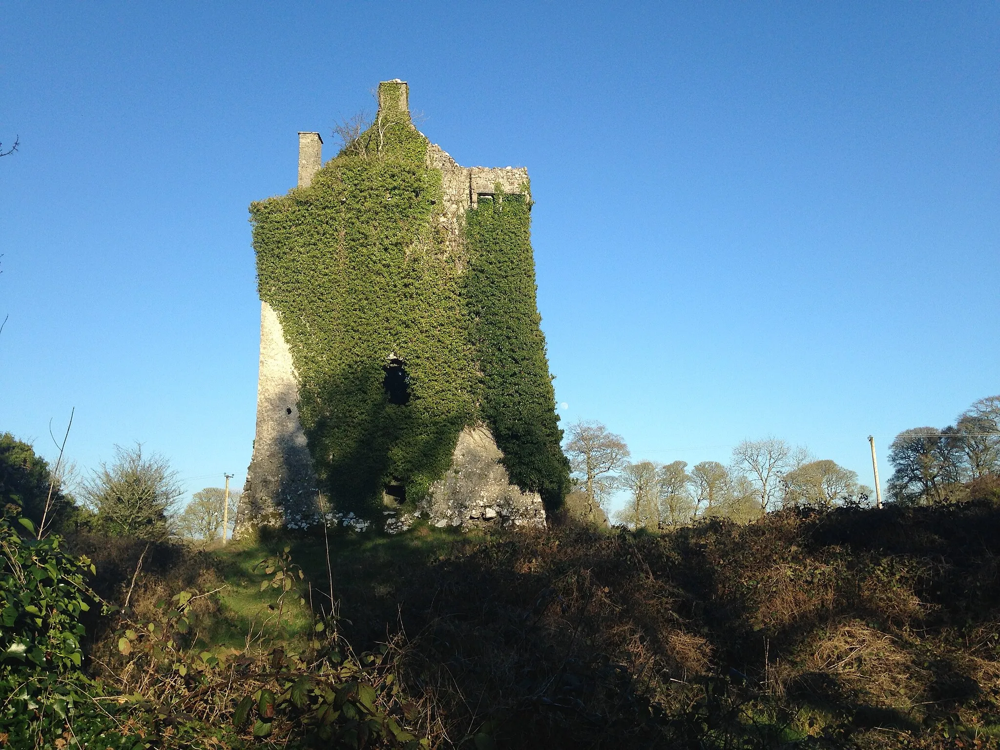 Photo showing: the ruined castle on Knockma Hill