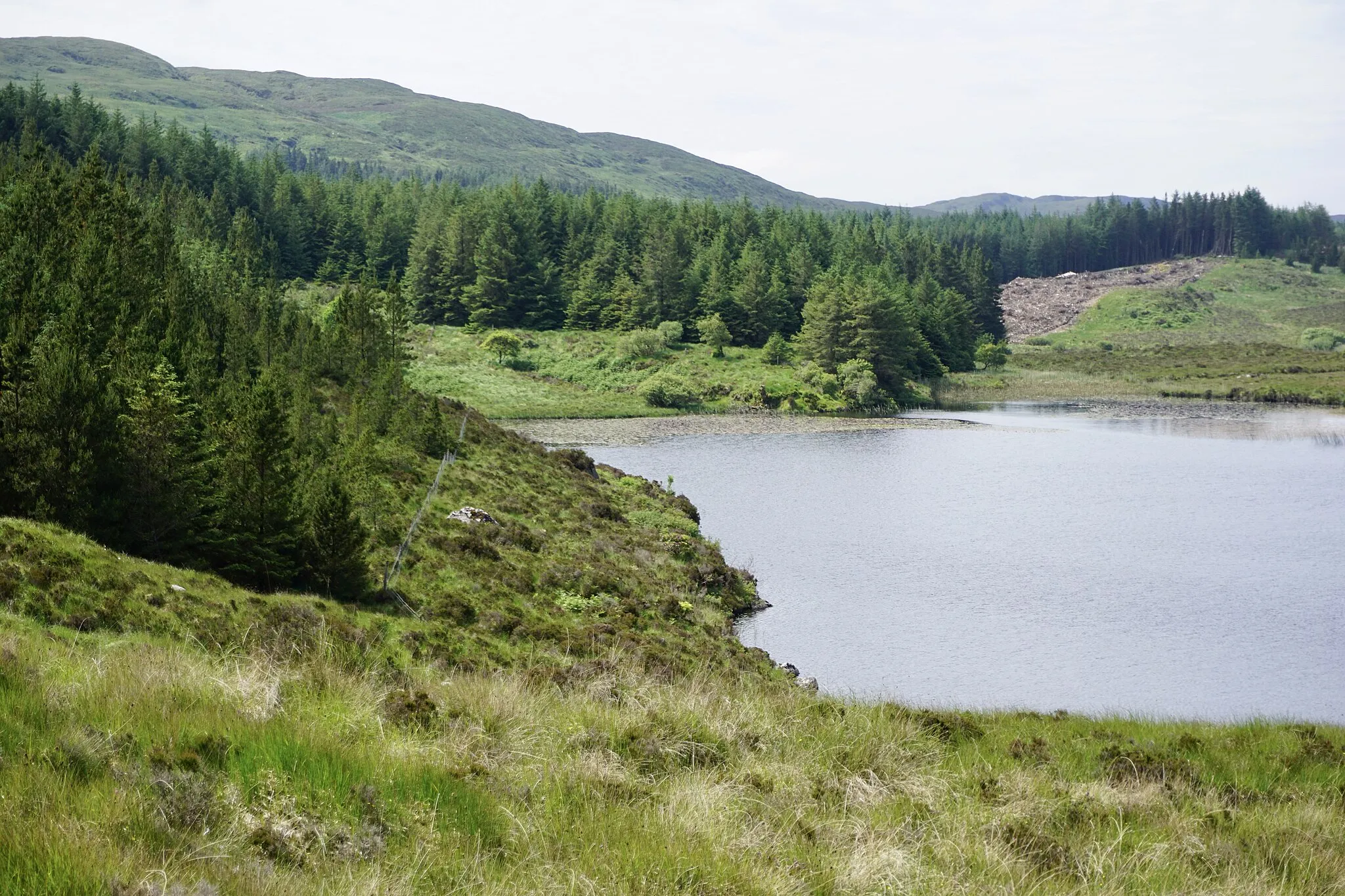 Photo showing: View of Derkmore Wood Nature Reserve from small road near Lettermacaward, County Donegal in Ireland. Lough Smullan can be seen in the foreground.