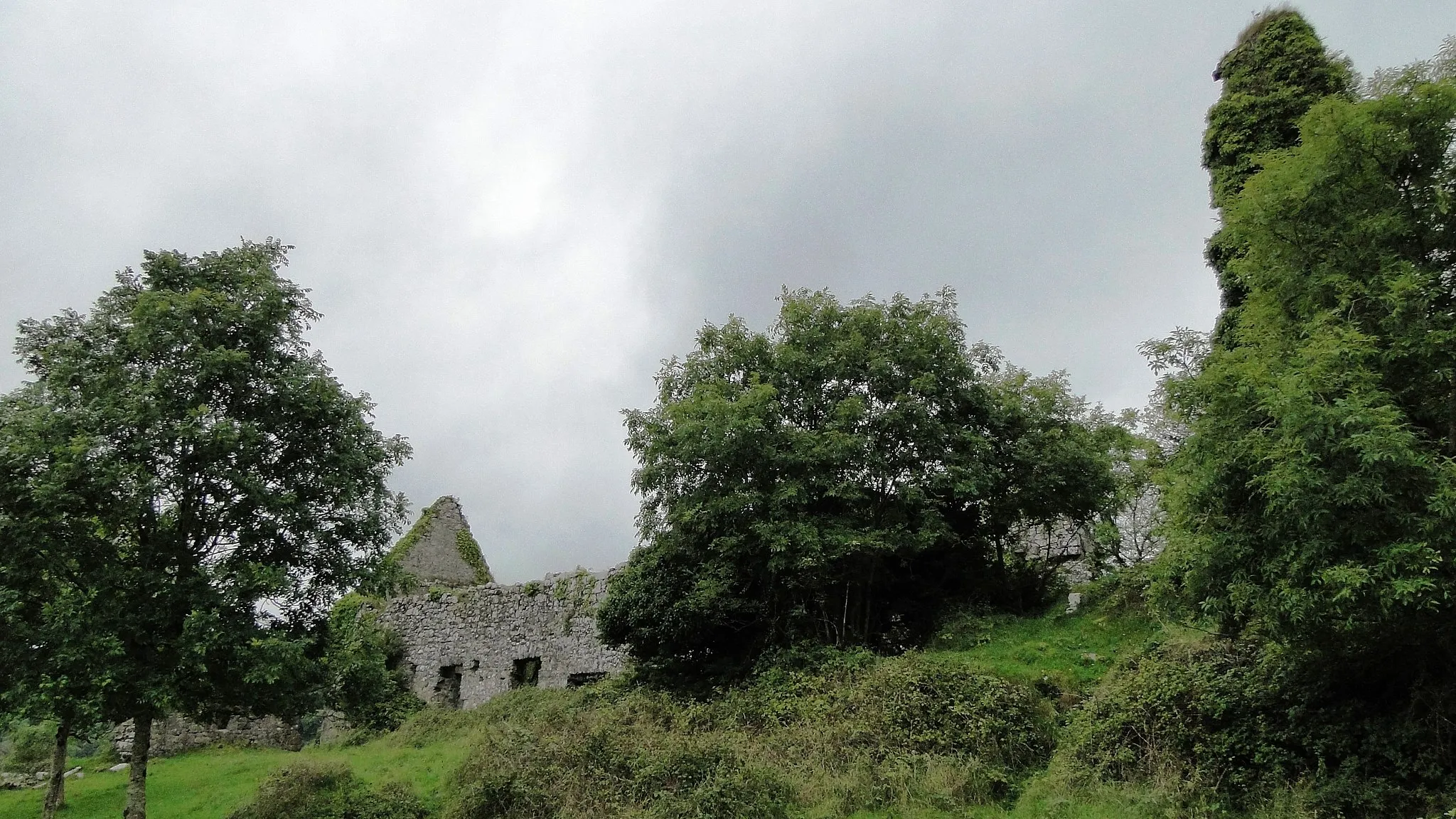 Photo showing: Ruins of Inchiquin Castle near Corofin, County Clare, Ireland. View of the outside, main building on the left, overgrown Tower to the right.