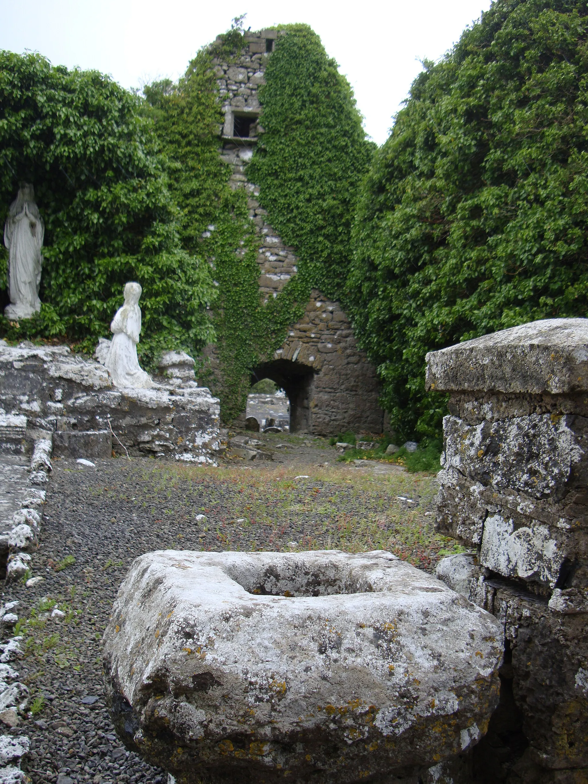 Photo showing: Photograph of the interior of Mayo Abbey, Co. Mayo, Ireland