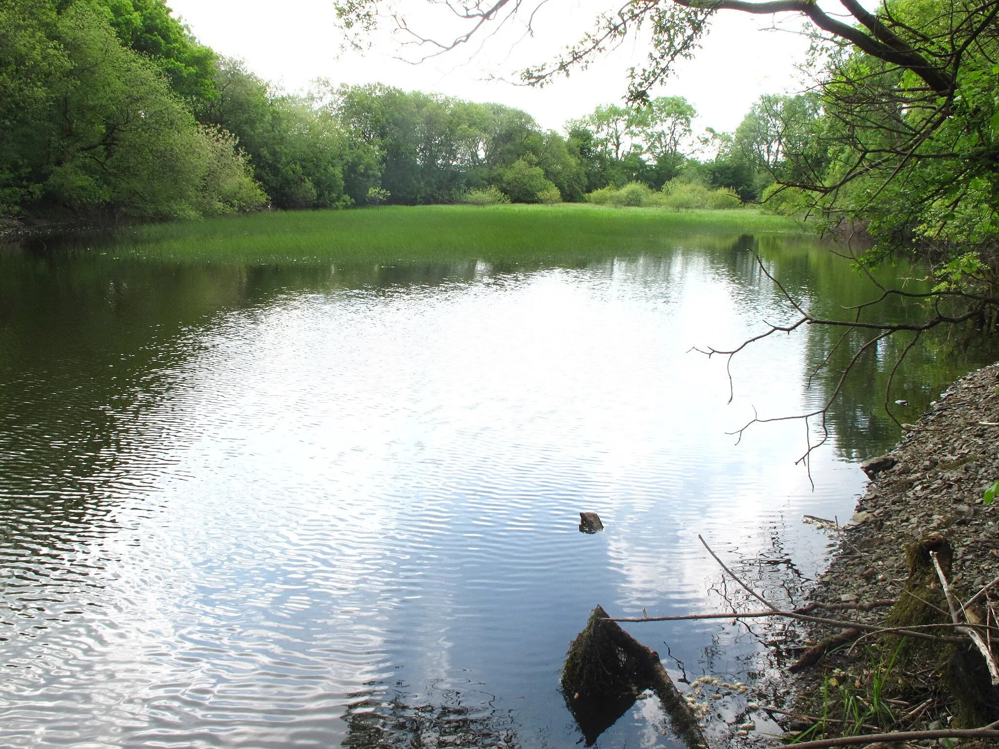 Photo showing: Pant-y-Llyn Turlough Wales June 2010 view from northern end of lake looking south