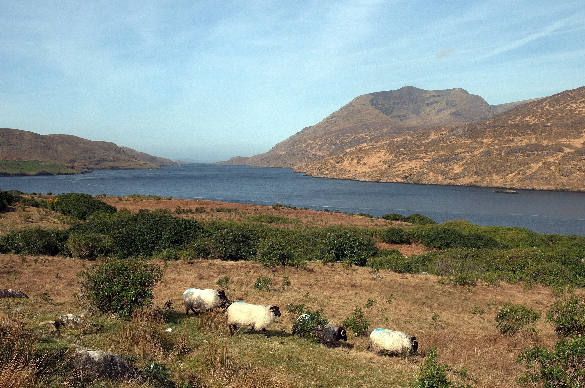 Photo showing: Connemara