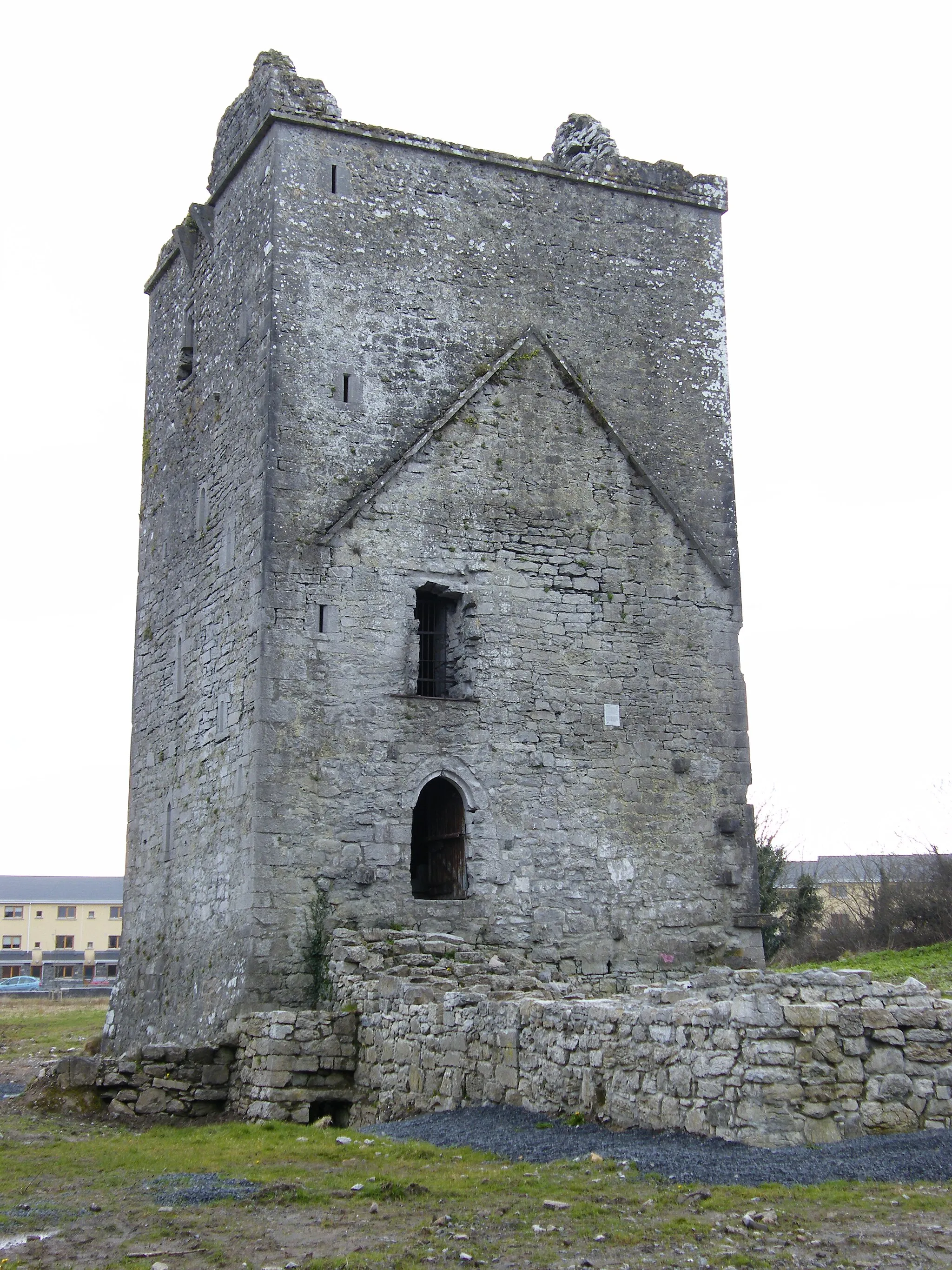 Photo showing: Merlin Park castle