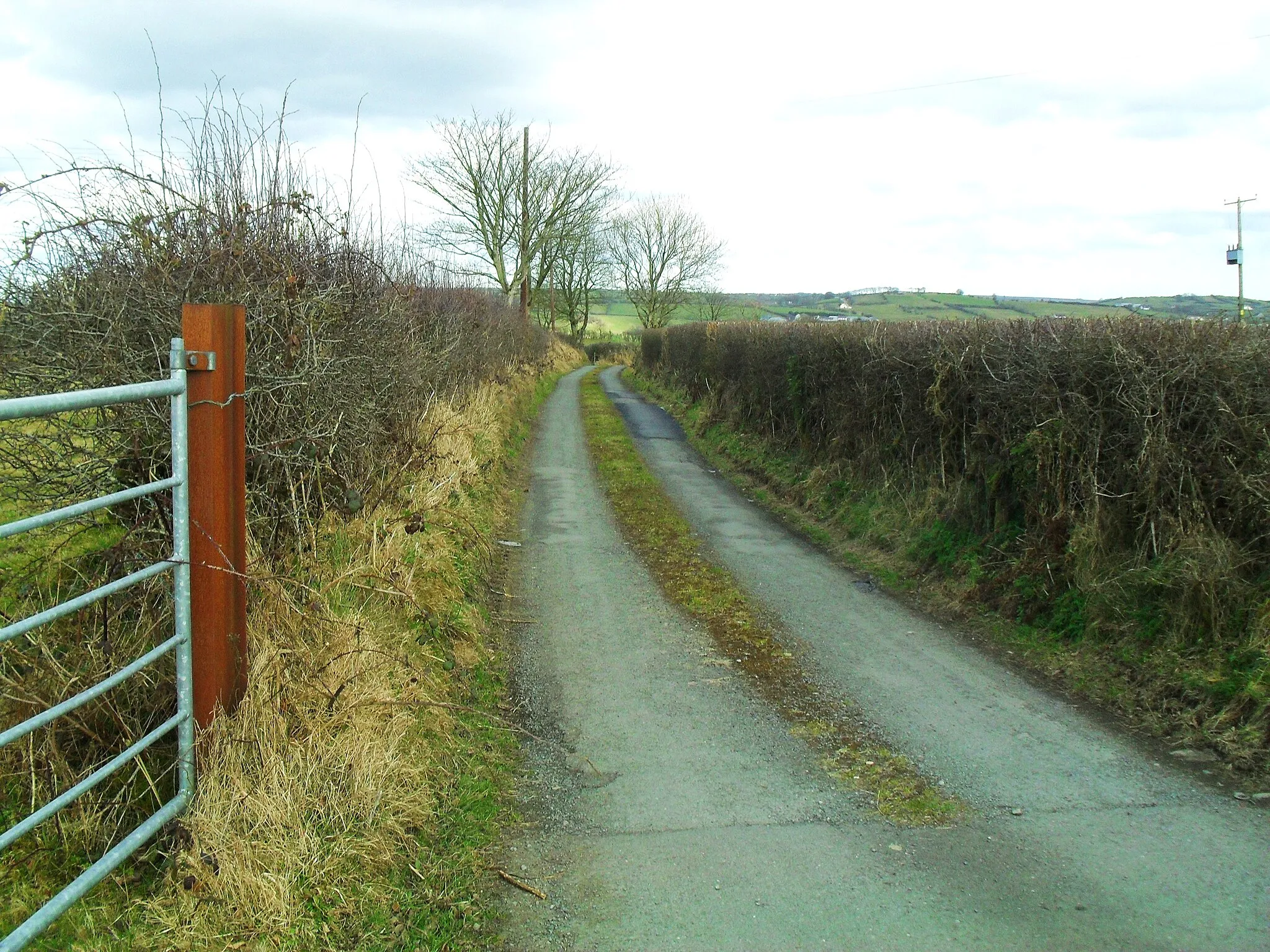 Photo showing: Carrickabolie Road, Drumnahavil Townland of Drumnahavil - near Derrynoose, Keady, County Armagh.