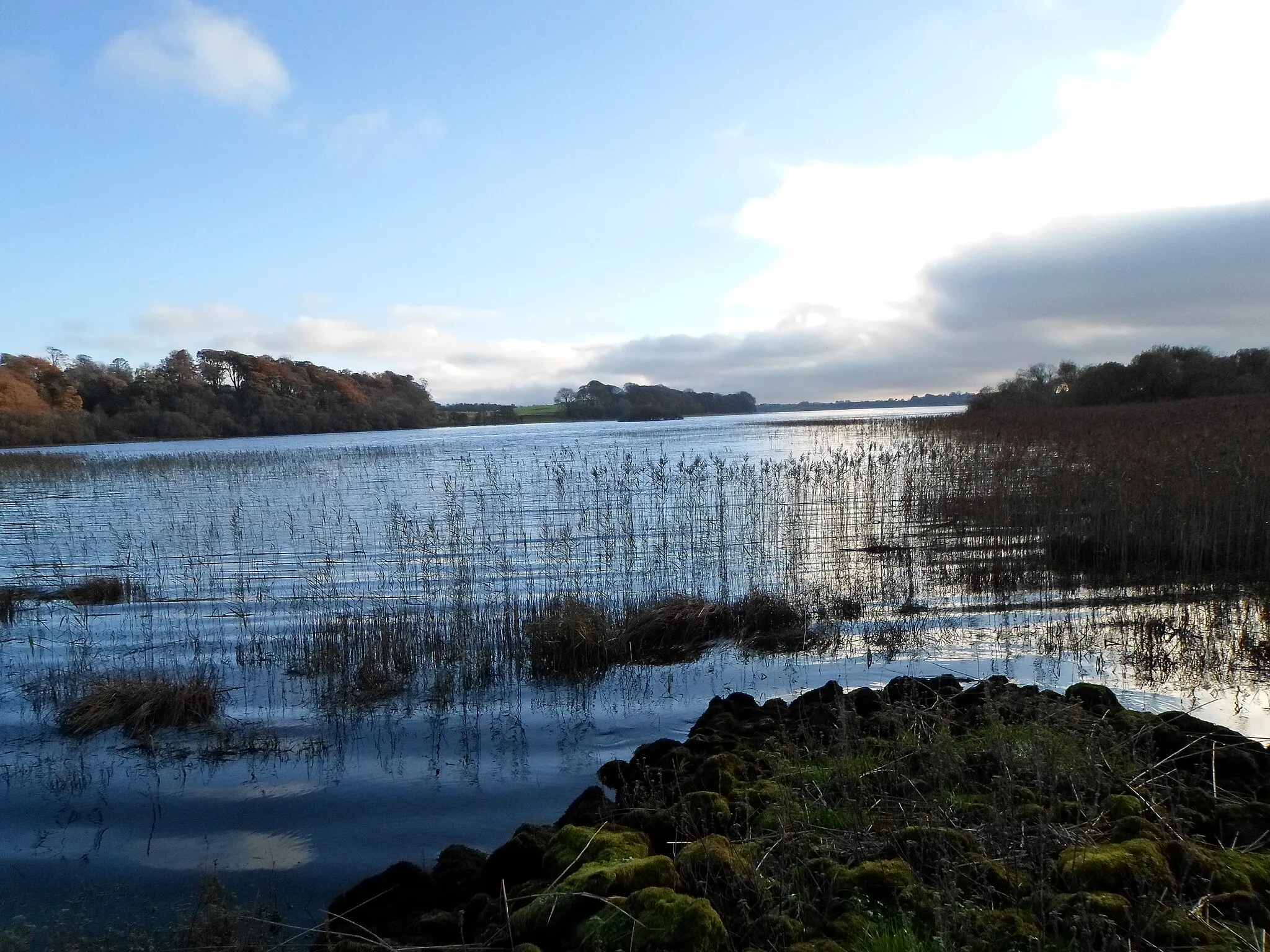 Photo showing: Templehouse Lough, County Sligo. View looking south from near Temple House.
