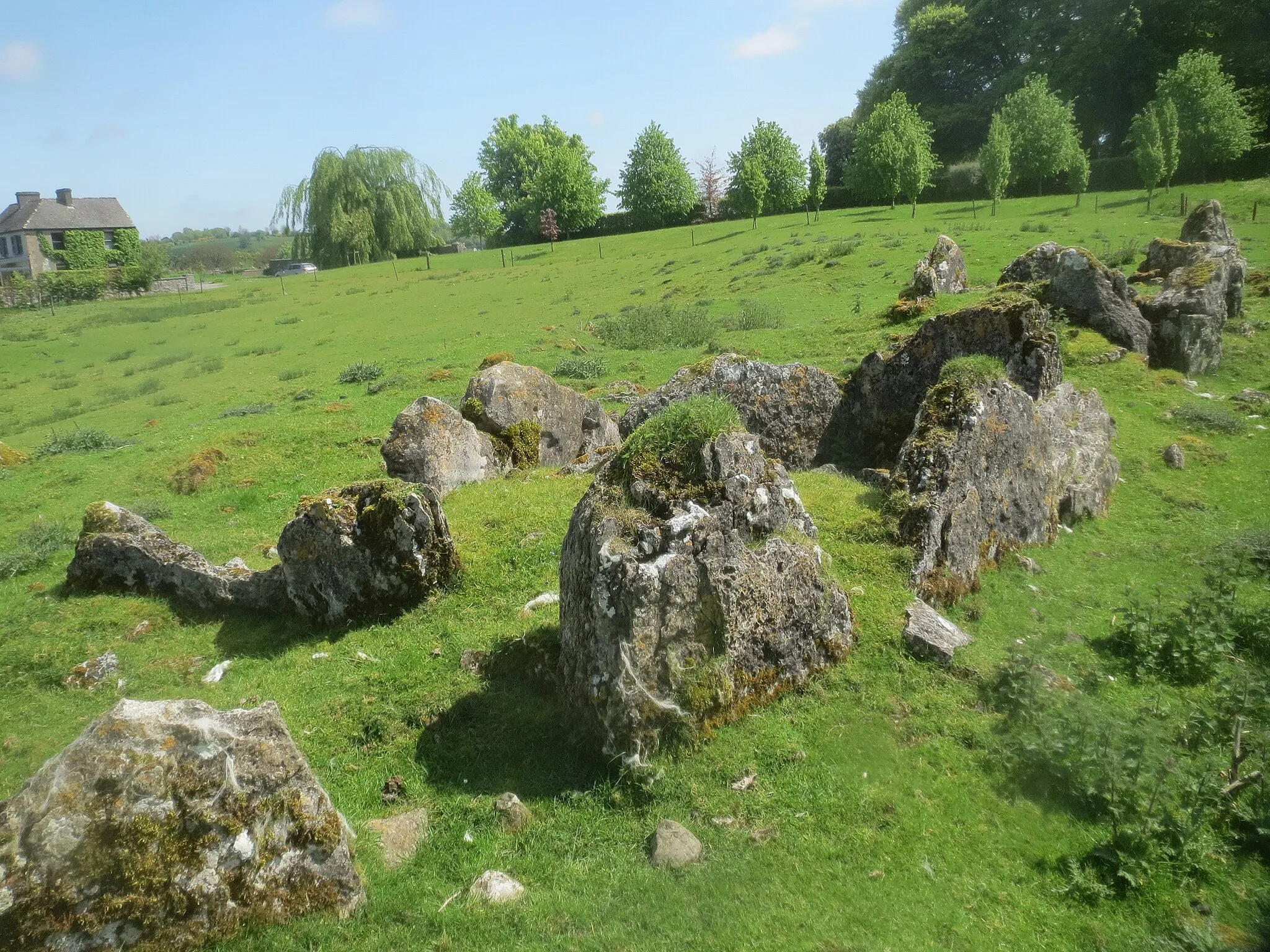 Photo showing: Commons-Fenagh Double Court Tomb