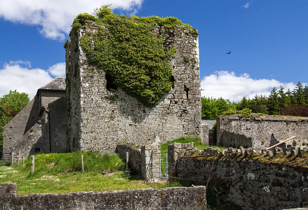 Photo showing: Castles of Munster: Coolquill, Tipperary (2)