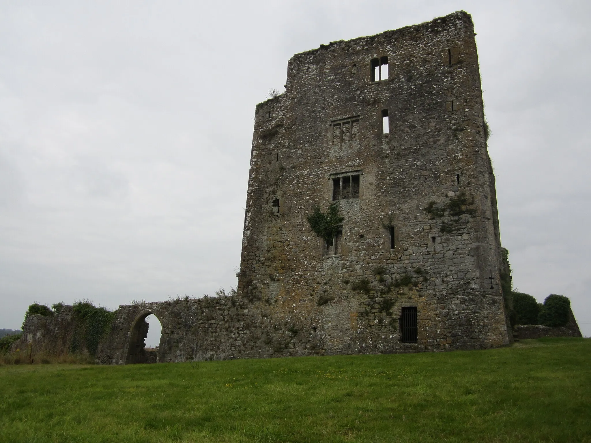 Photo showing: 13th Century Castle on the River Suir