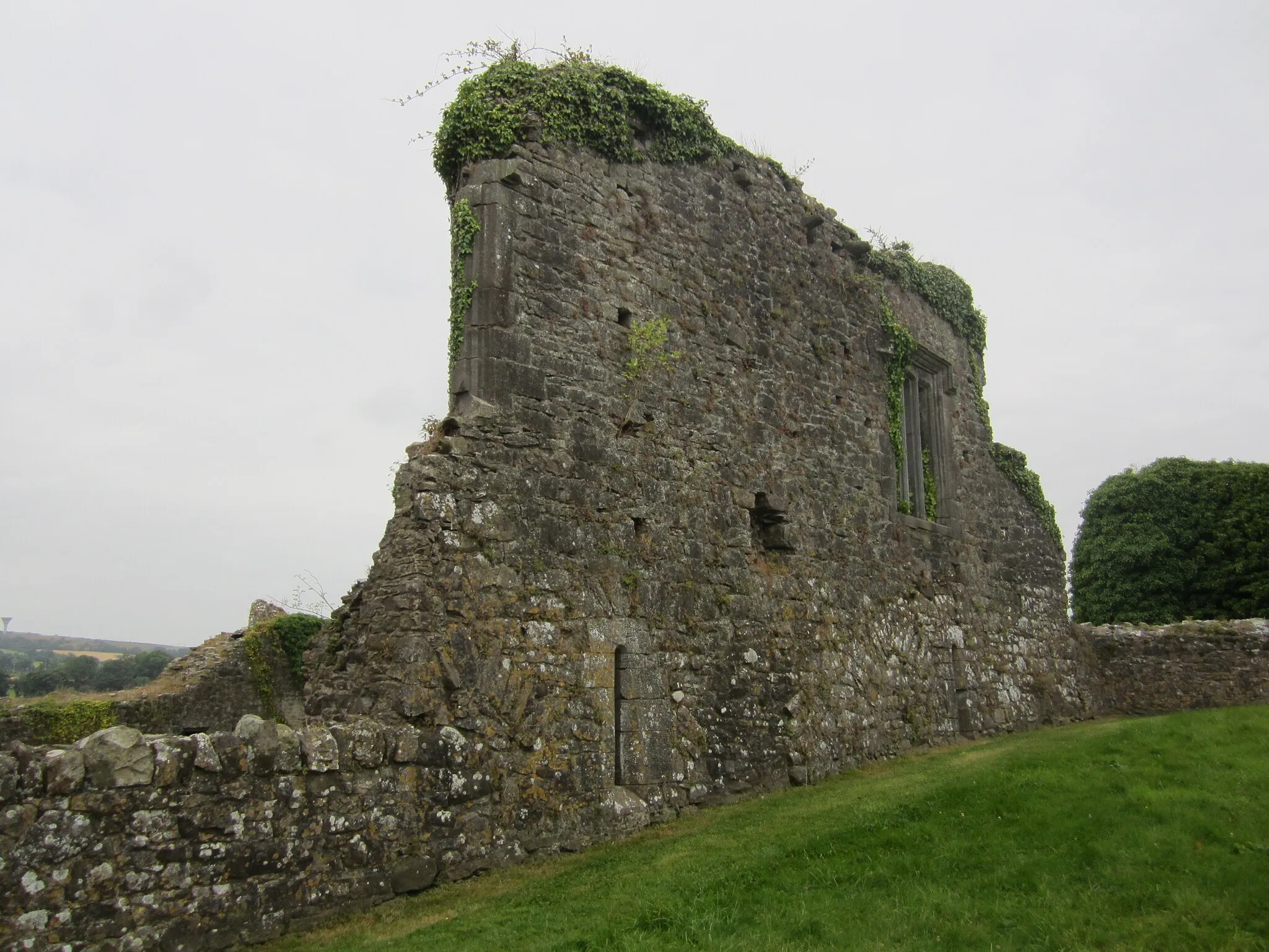 Photo showing: 13th Century Castle on the River Suir